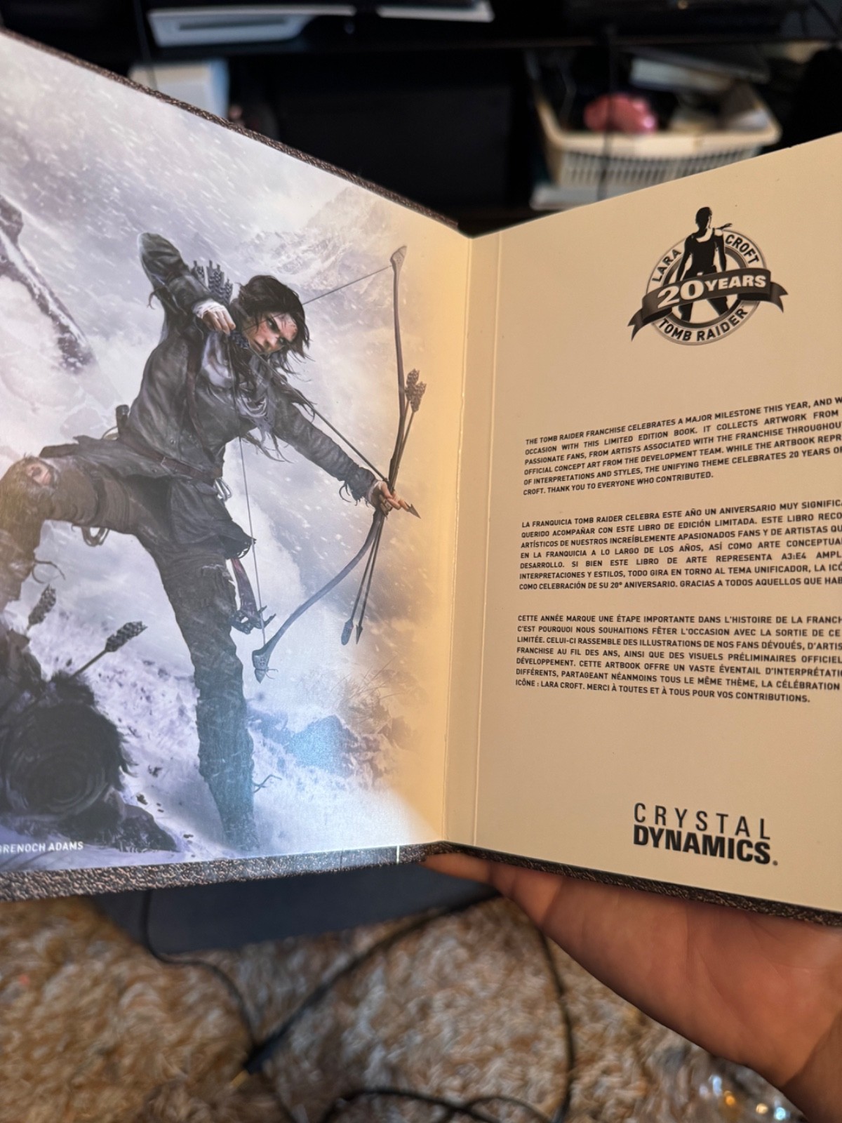 Rise of the Tomb Raider: 20 Year Celebration (PlayStation 4, 2016)