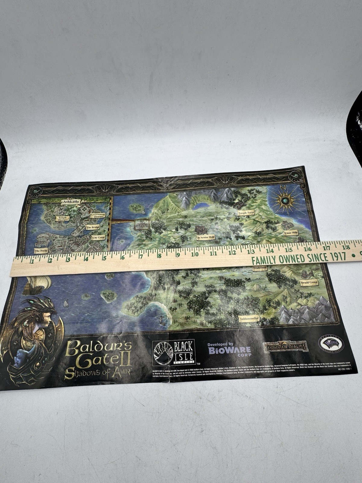OEM Baldur’s Gate II Shadows of Amn Map Poster ONLY