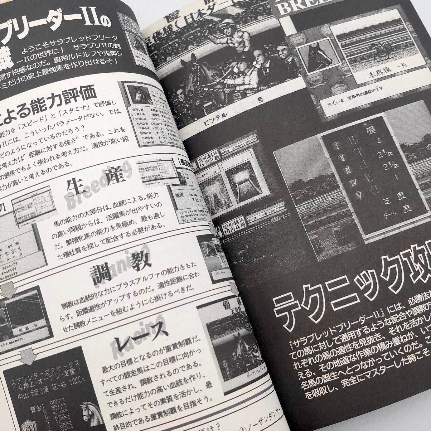 Thoroughbred Breeder 2 A book to play 100 times Guide Nintendo Super Famicom SFC