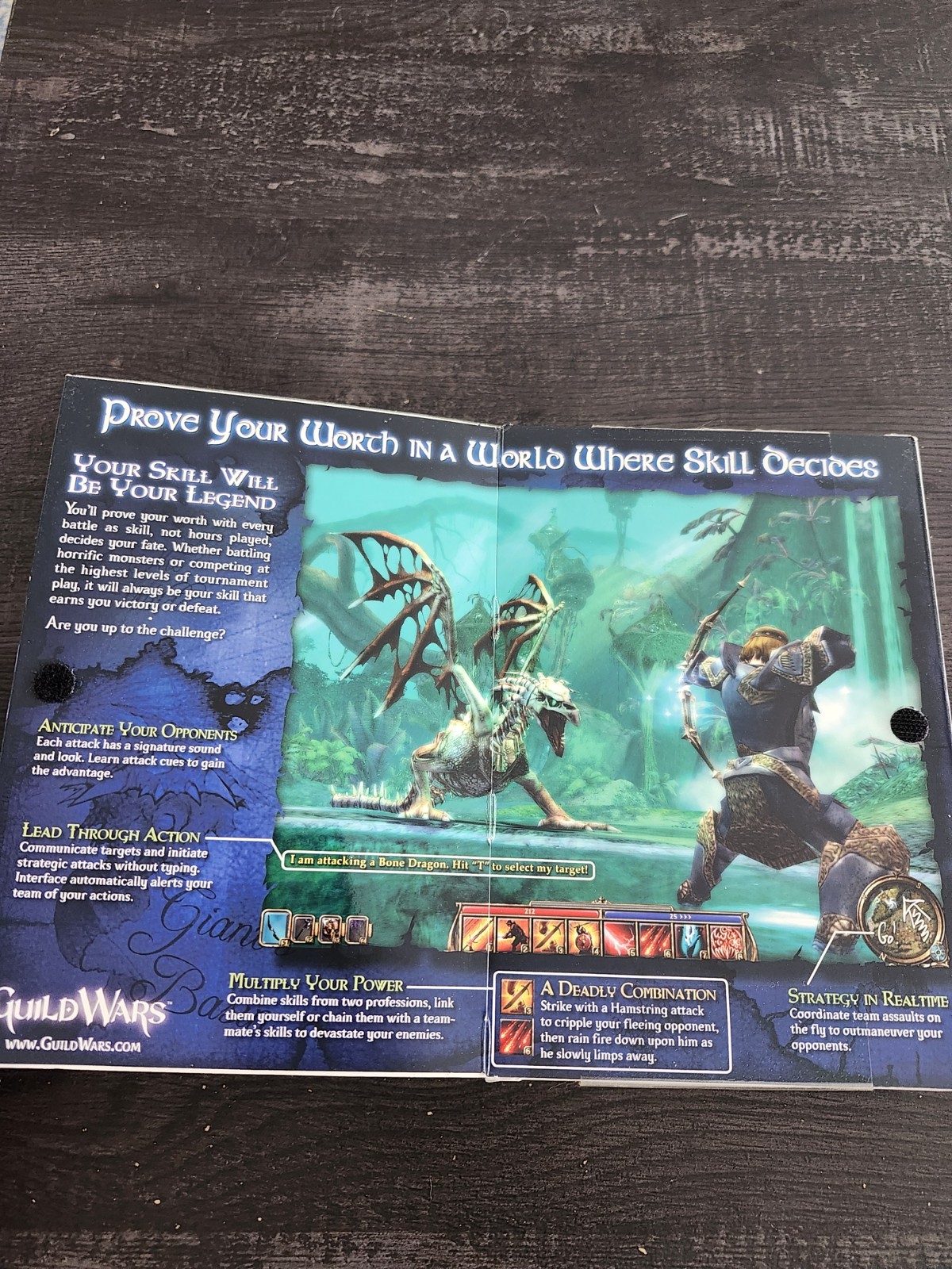 NCsoft Guild Wars (PC, 2005) CD-ROM w/ Manual