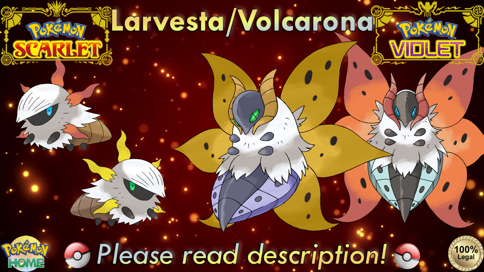 🍊Shiny/Non-shiny Larvesta/Volcarona 6IV🍇Pokémon Scarlet/Violet (💯Legal)