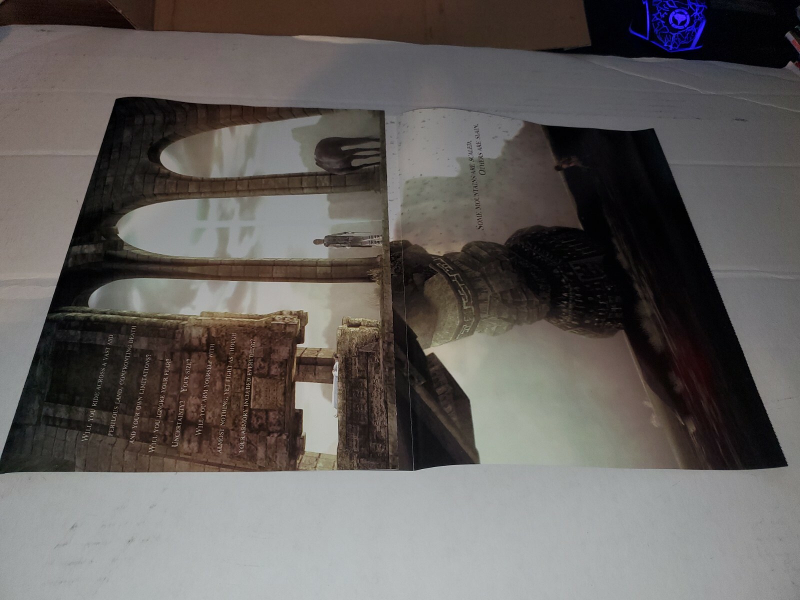 Shadow of the Colossus Playstation 2 PS2 PS1 Foldable Promo Poster Insert RARE🔥