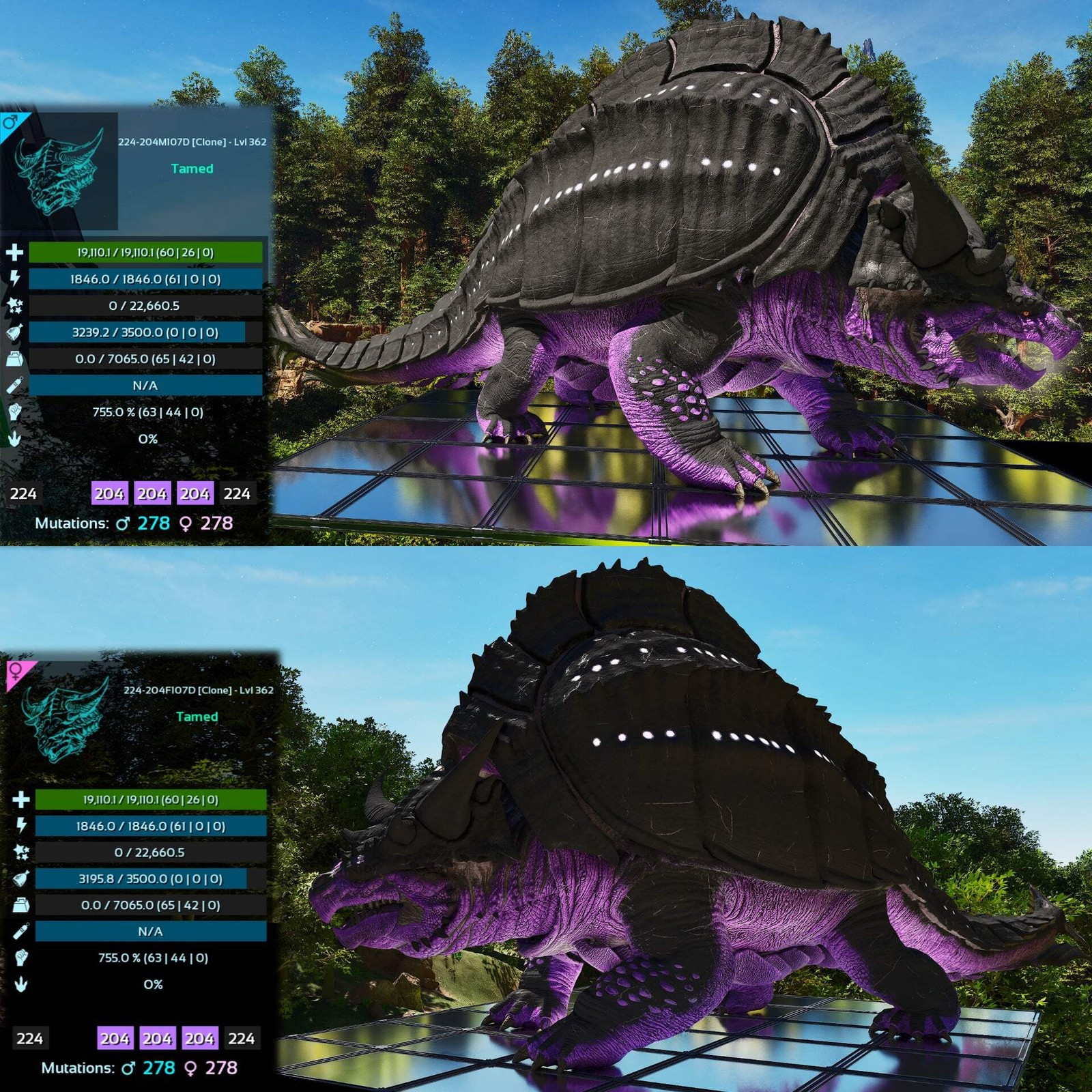 Grand Tortugar Tank Lvl 362 ASA PVE 🦖ARK Survival Ascended