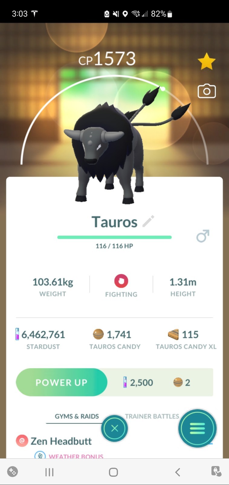 Pokemon Combat Breed Tauros (Spain Caught) GO