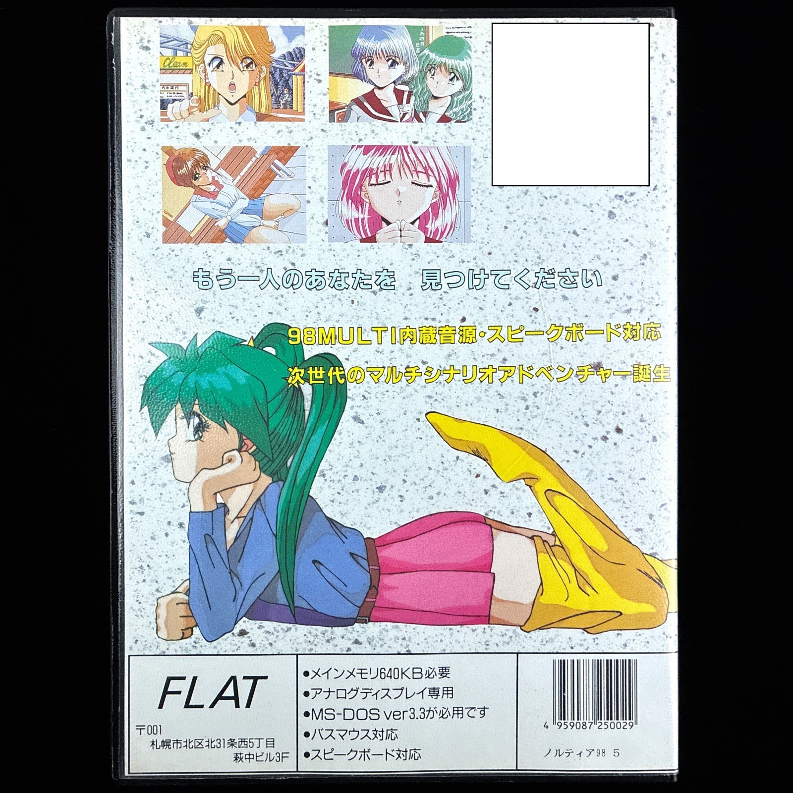 1993 FLAT NOLTIA PC-9801 PC98 5″ Big-Box PC VN Visual Novel Game Japan Import