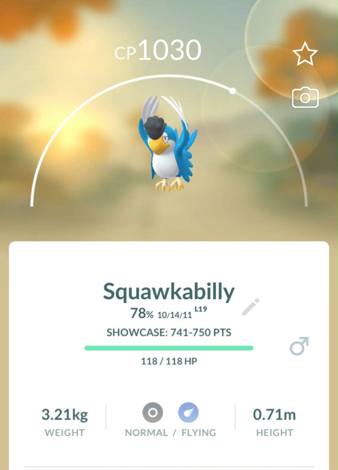 Pokemon Trade Go – squawkabilly Blue | regional exclusive