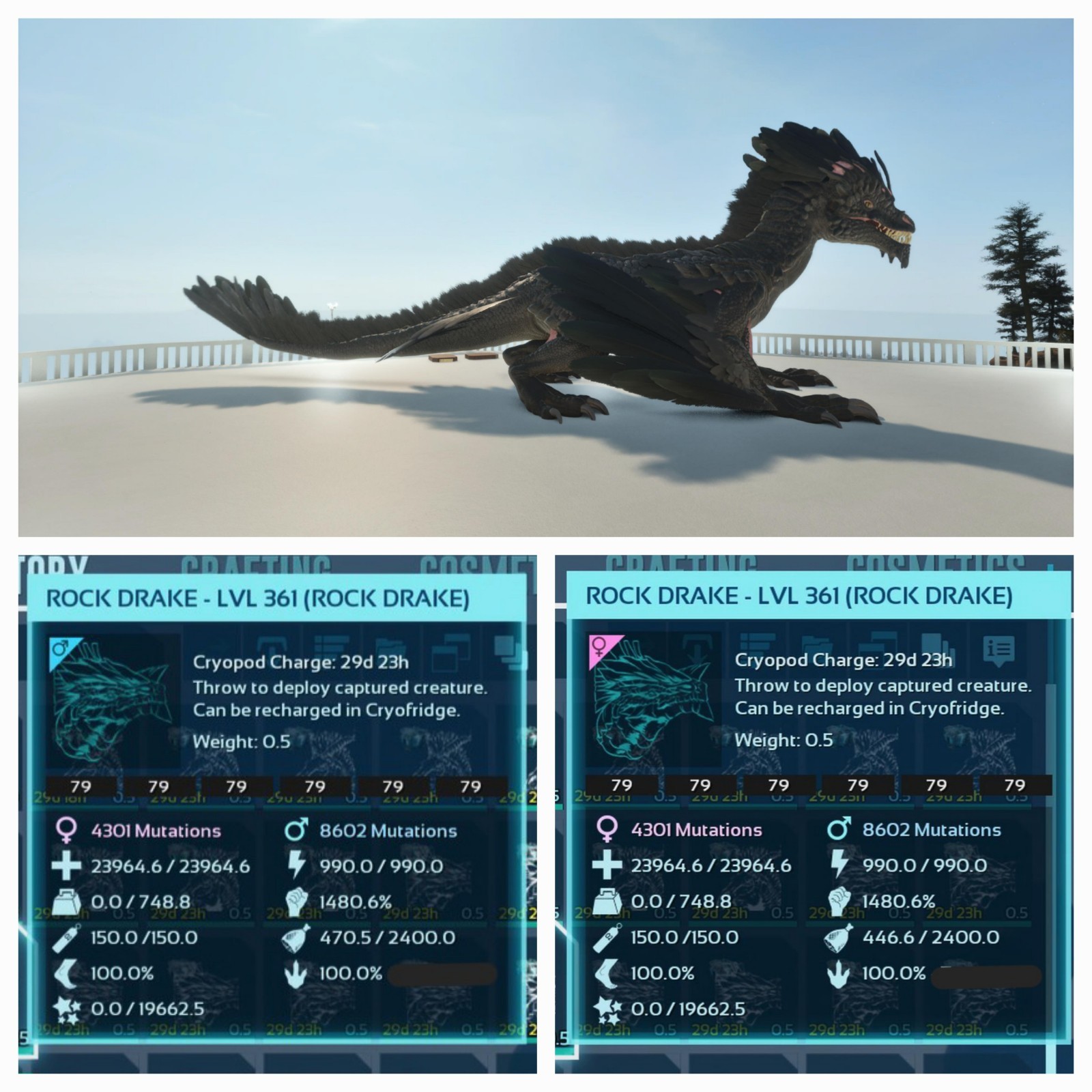 ARK ASA PVE OFFICIAL PAIR DRAKE BLACK ID79 ADULT 100% IMP. PC/XBOX/PS5