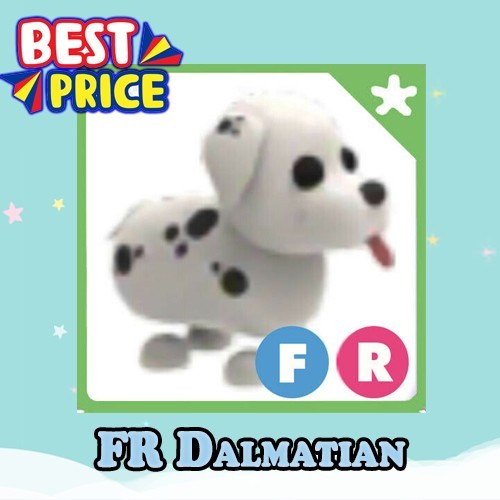 FR Dalmatian – Fly Ride – Adopt right now
