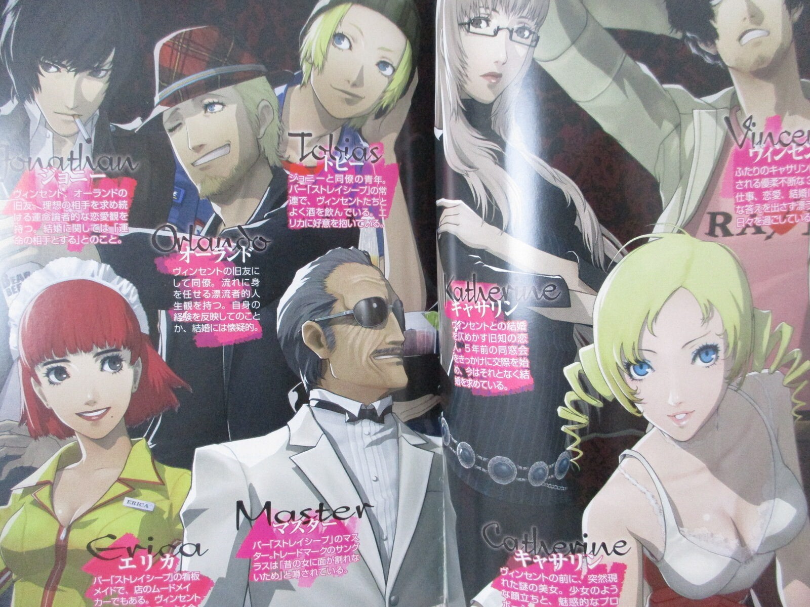 CATHERINE Novel PS3 Xbox360 Fan Book Japan 2011 FJ31