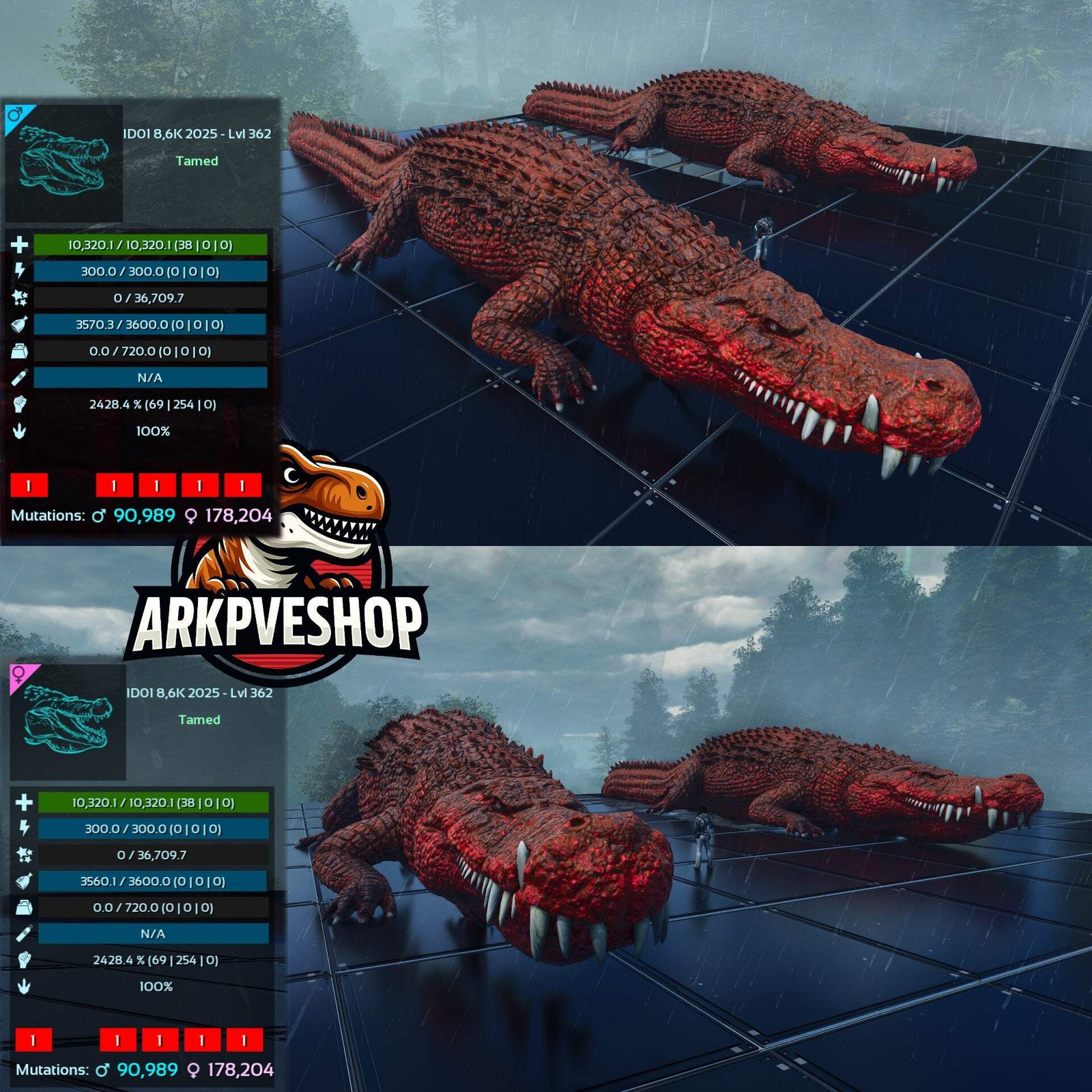 ASA PVE 🦖ARK Survival Ascended Deinosuchus Deino 2026m or 2428m Red Variant