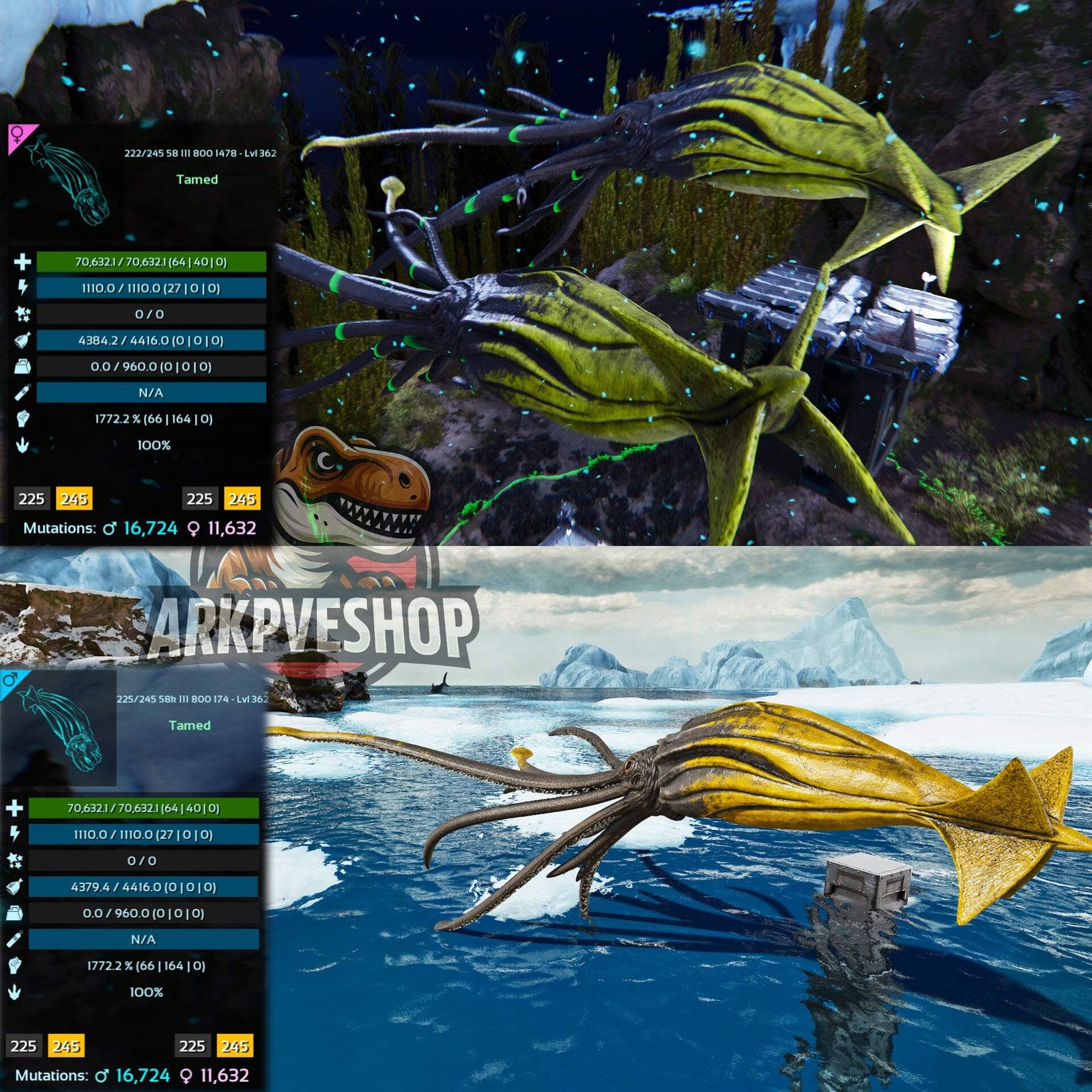 Tuso ASA PVE 🦖ARK Survival Ascended Tusoteuthis 1772%Melee Imprinted