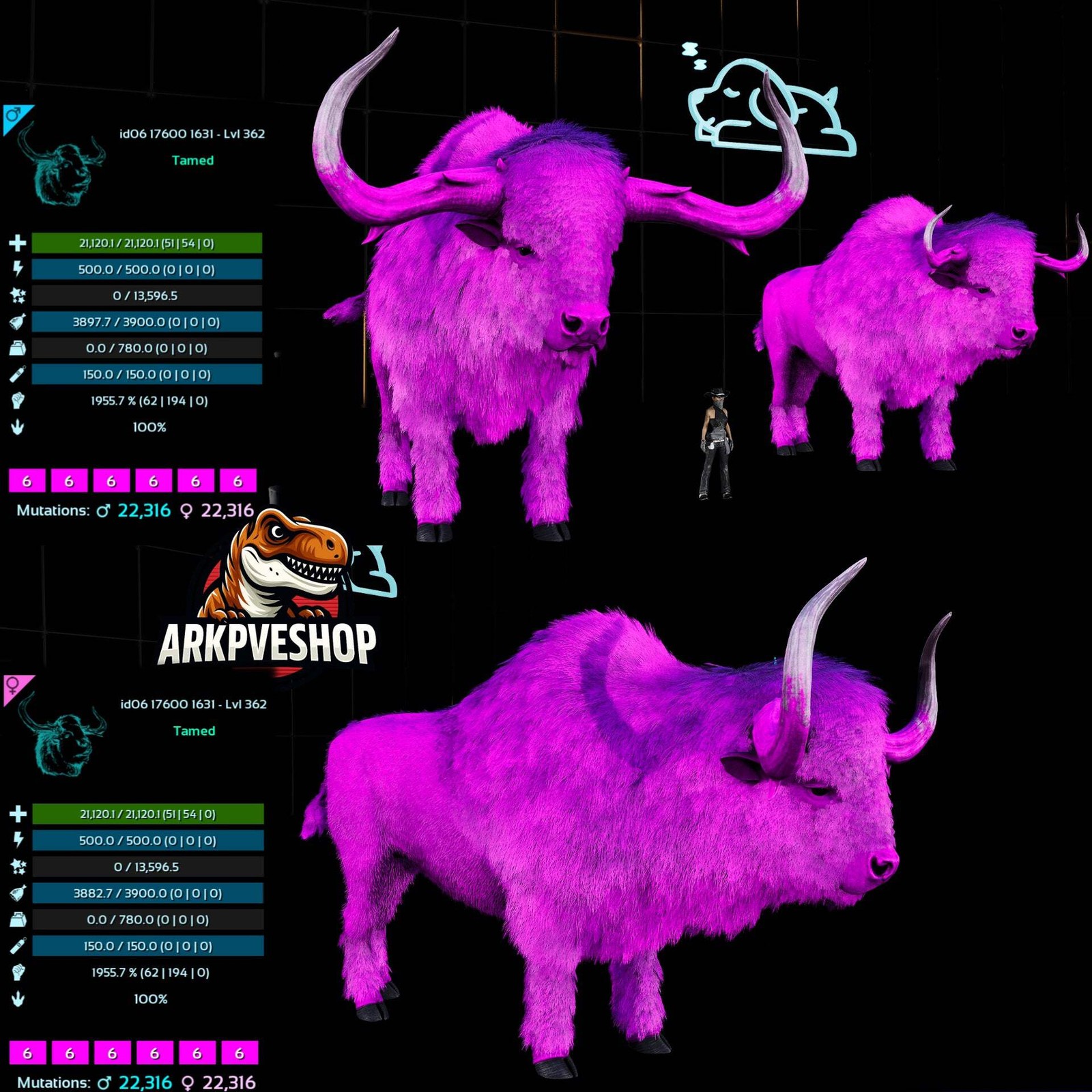 ASA PVE 🦖ARK Survival Ascended Bison 362Lvl 1955.7% Melee