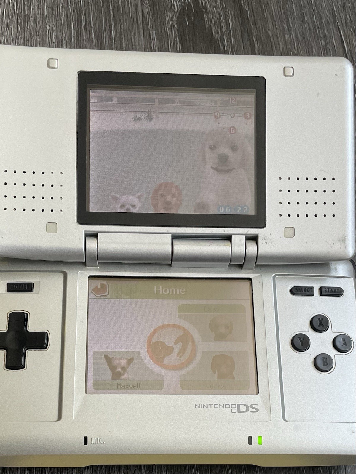 Nintendogs: Lab & Friends + Dachshund & Friends Nintendo DS 2005 Save Tested