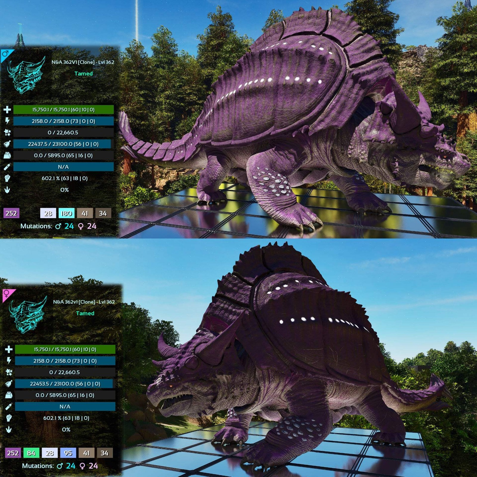 Grand Tortugar Tank Lvl 362 ASA PVE 🦖ARK Survival Ascended