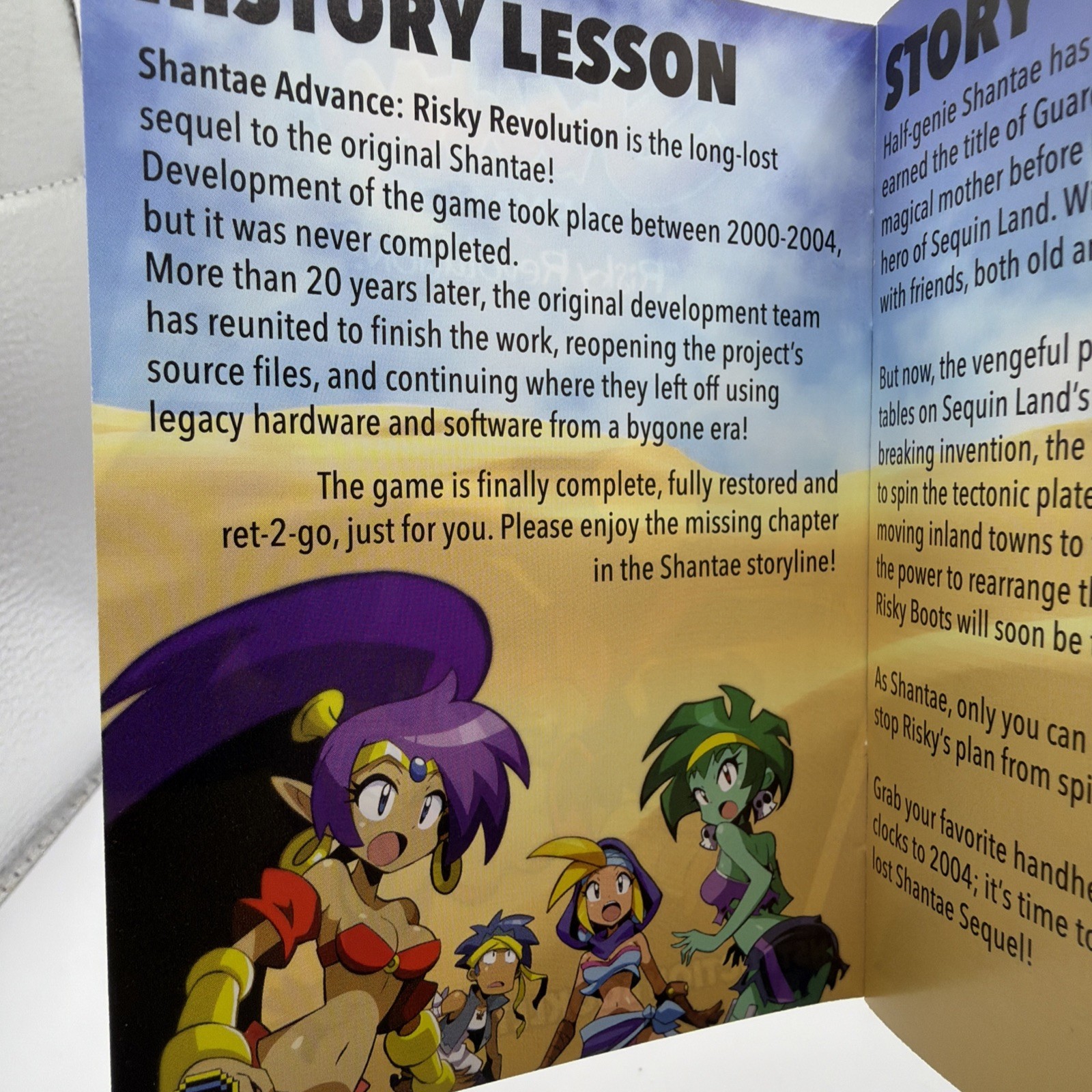 Shantae Advance Risky Revolution LRG 10th Anniversary Variant (Nintendo Switch)