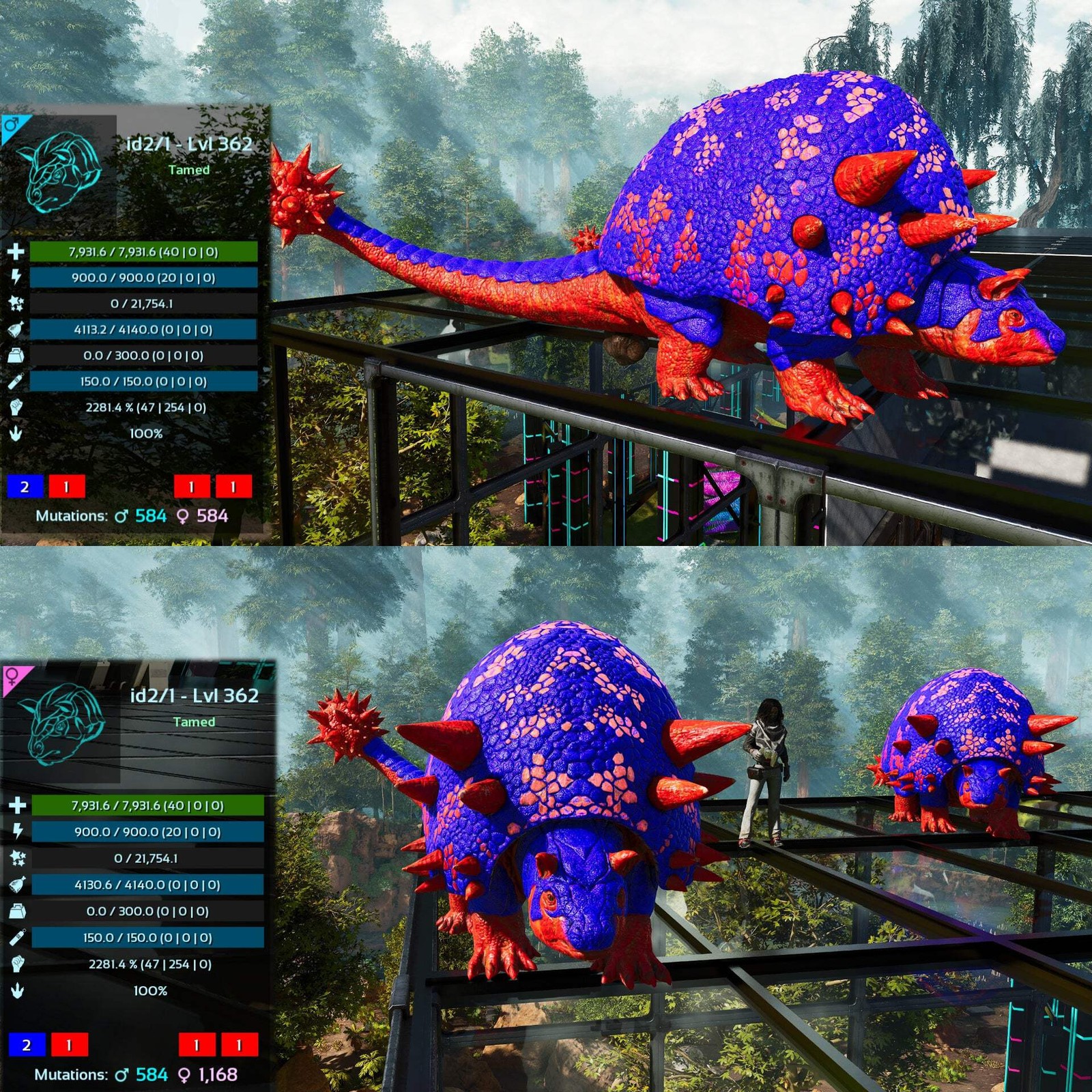 ASA PVE 🦖ARK Survival Ascended Aberrant Doedicurus Doedi 2281.4%Melee Top