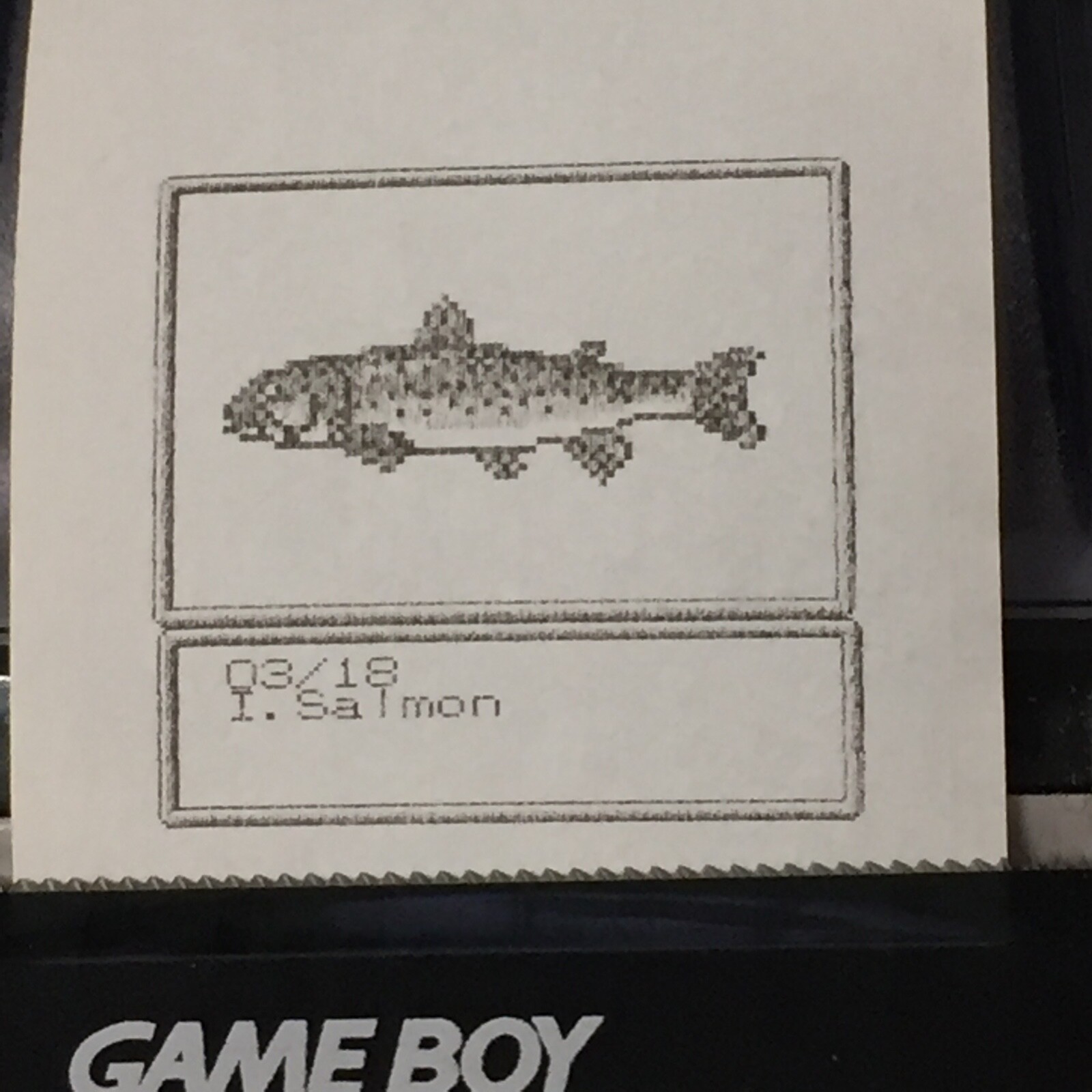 Harvest Moon 2 (GBC) ALL Photos – Game boy Printer Print-outs (64)