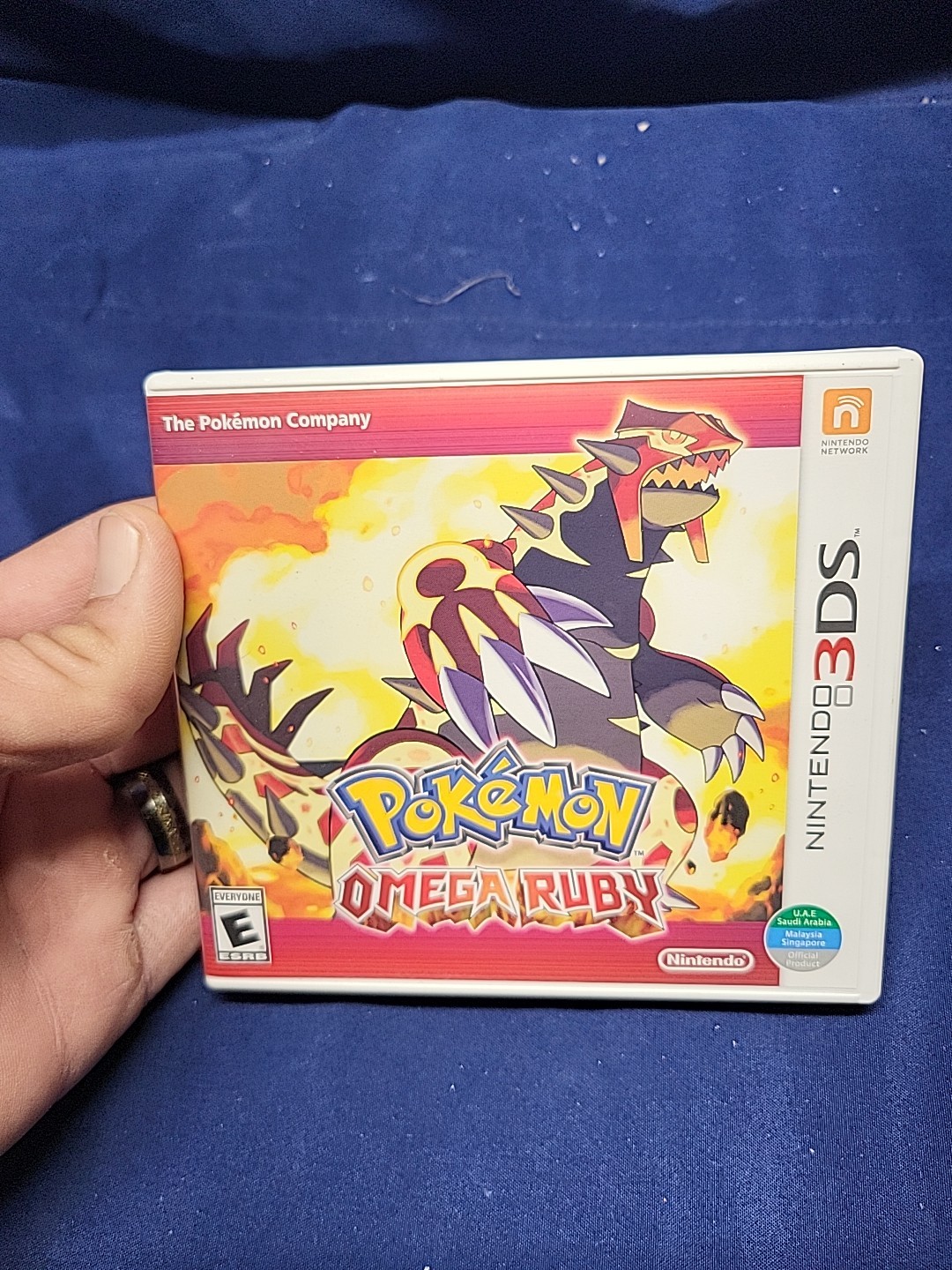 Pokemon Omega Ruby (Nintendo 3DS) Original Case & Manual Only