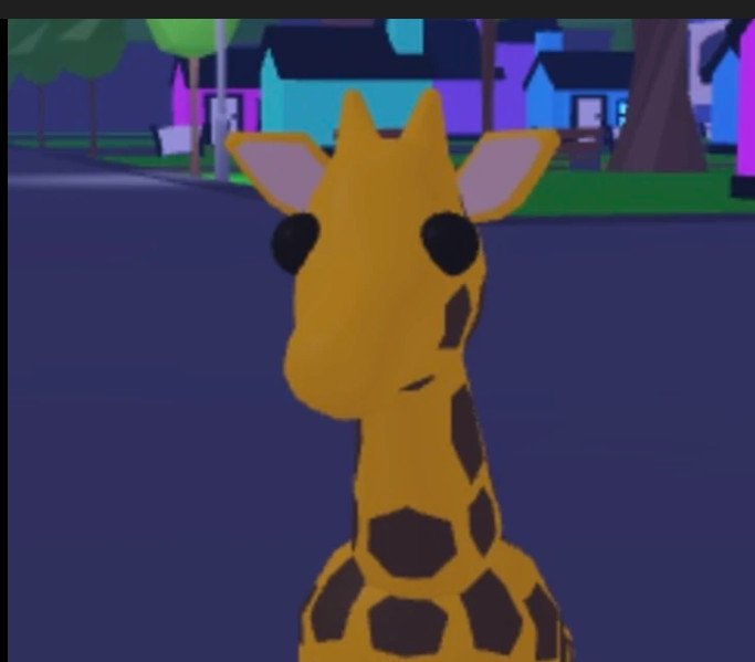 adopt me pets for sale new born no pot giraffe untouched no tricks no tasks done