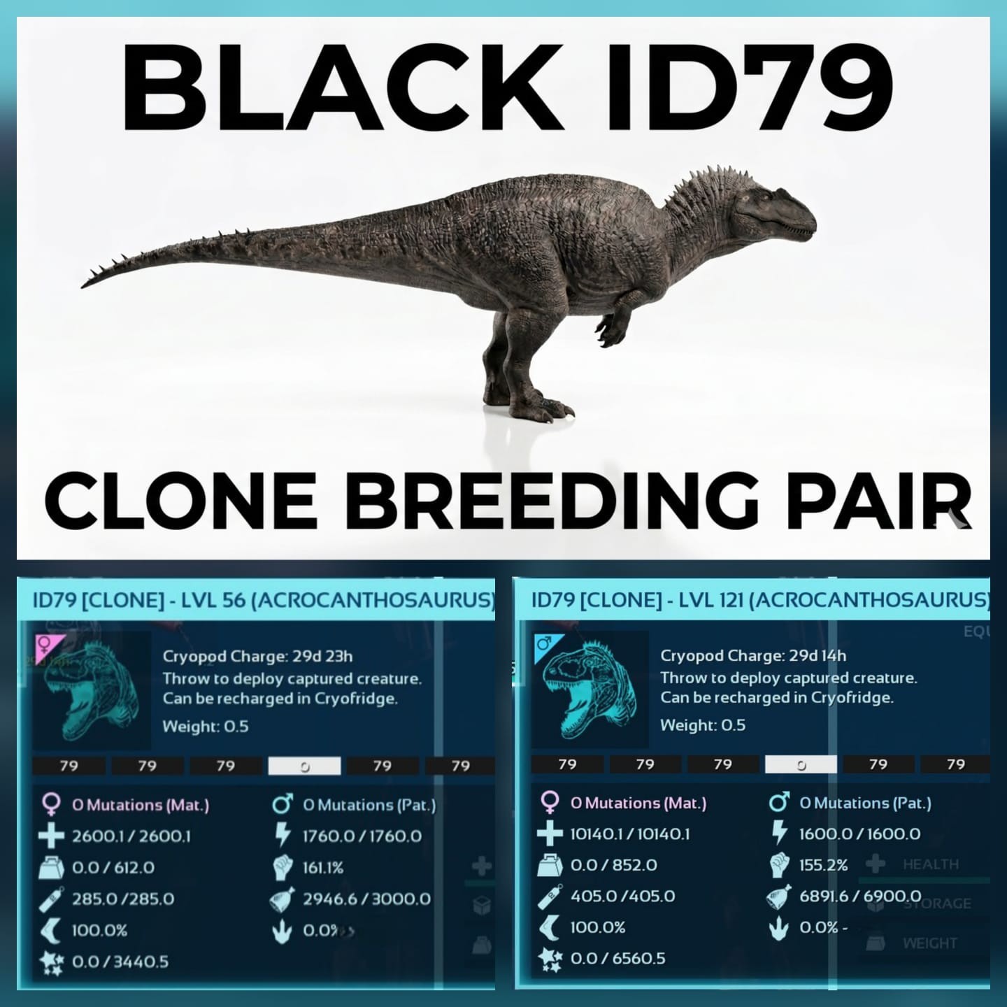 ARK ASA Acrocanthosaurus Black ID79 Clone Breeding Pair Official PVE PC/XBX/PS5