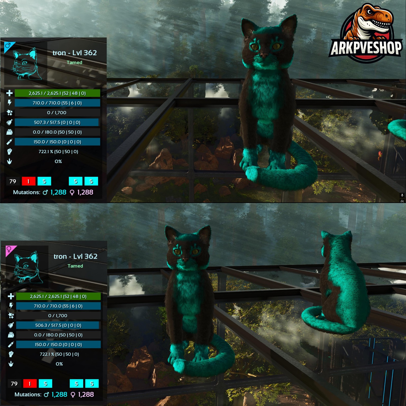 ASA PVE 🦖ARK Survival Ascended Cat / Cats Event Colours Top Stats 722Melee