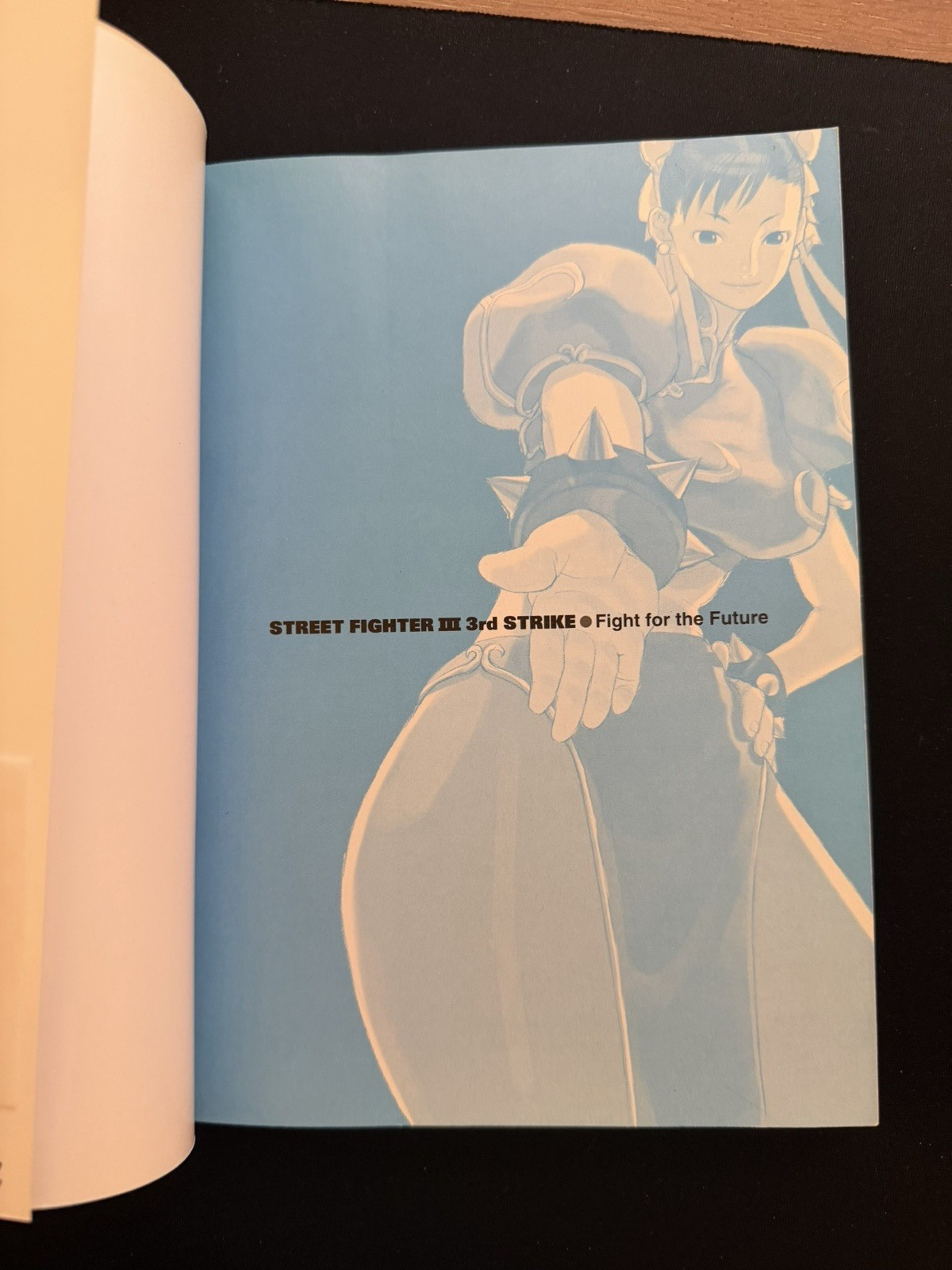 Street Fighter III Third Strike Fight for the Future Visual Guide Japanese