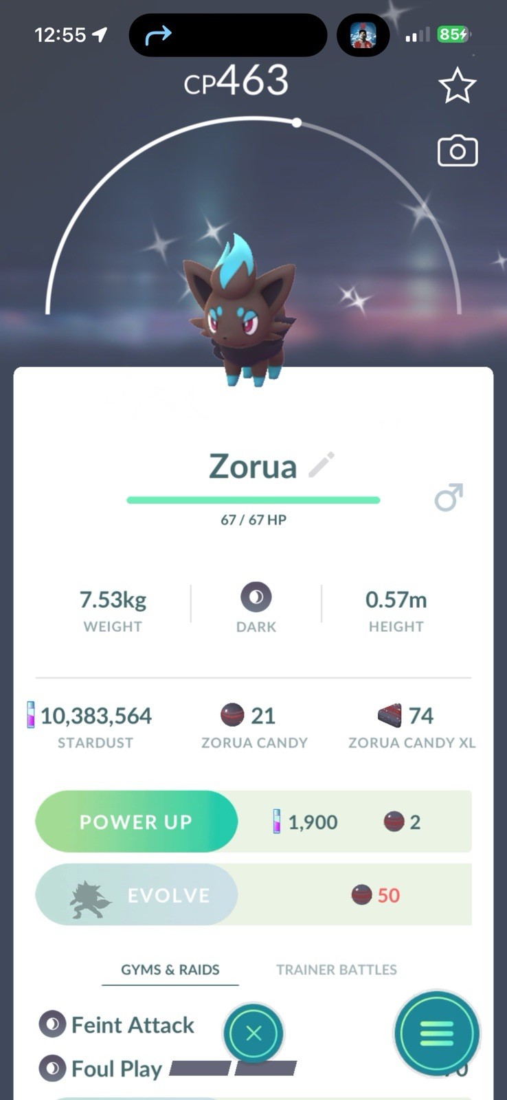 Pokémon PTC GO | LVL 70 |113✨|10.3☄️ Charcadet, Bg Ditto X 9