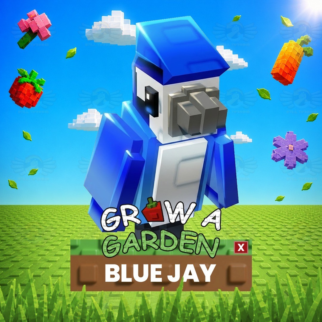Blue Jay – Grow a Garden
