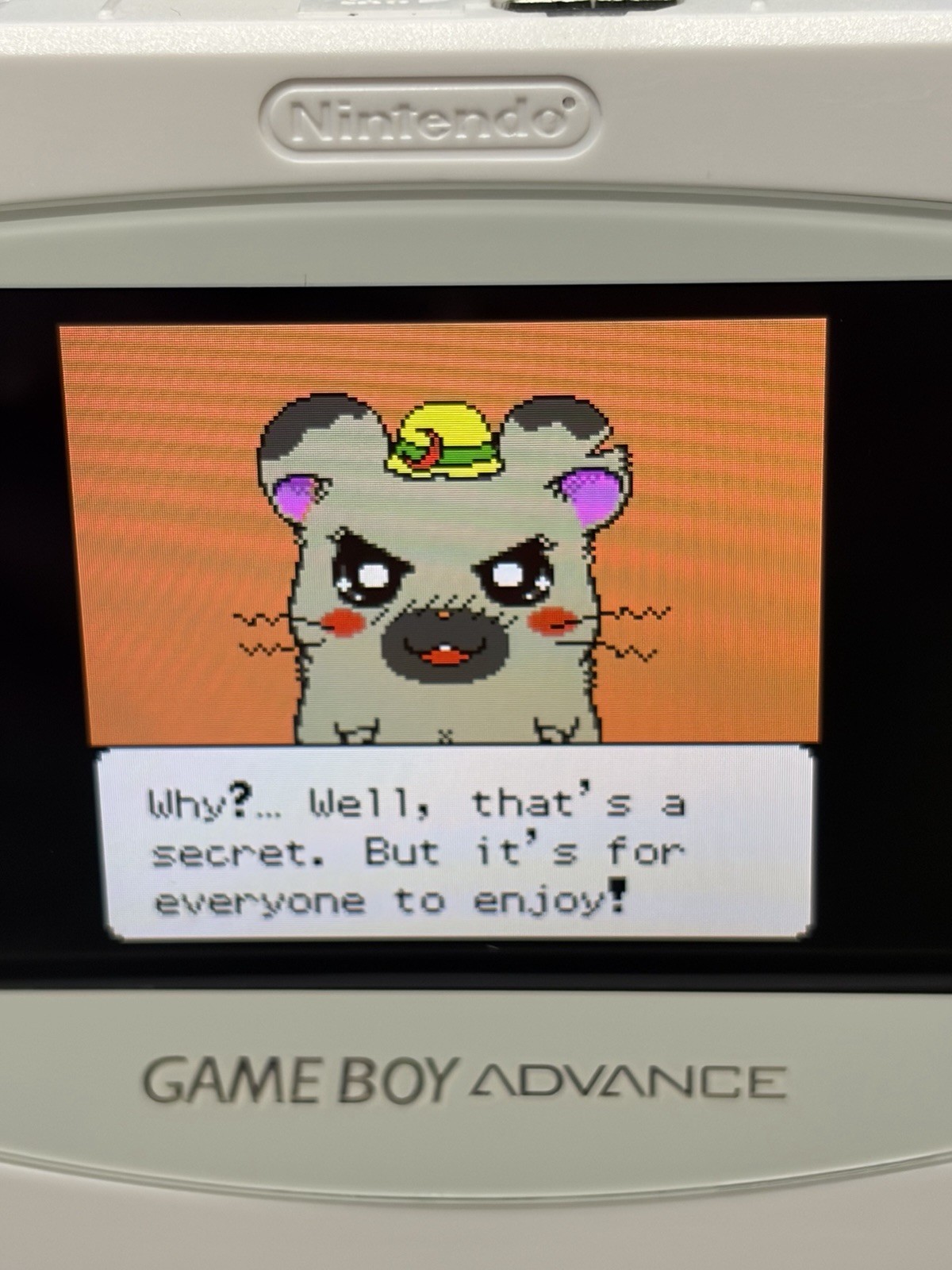 Hamtaro: Ham-Hams Unite (Nintendo Game Boy Color-GBC-TESTED-NEW BATTERY-NICE!!