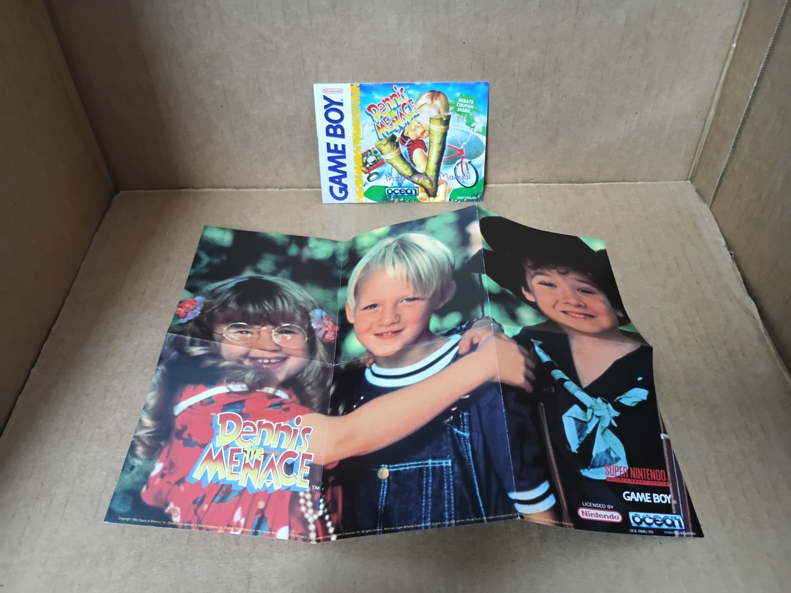 Dennis the Menace Instruction Manual and Poster for Nintendo Gameboy OCE-DMG-YD