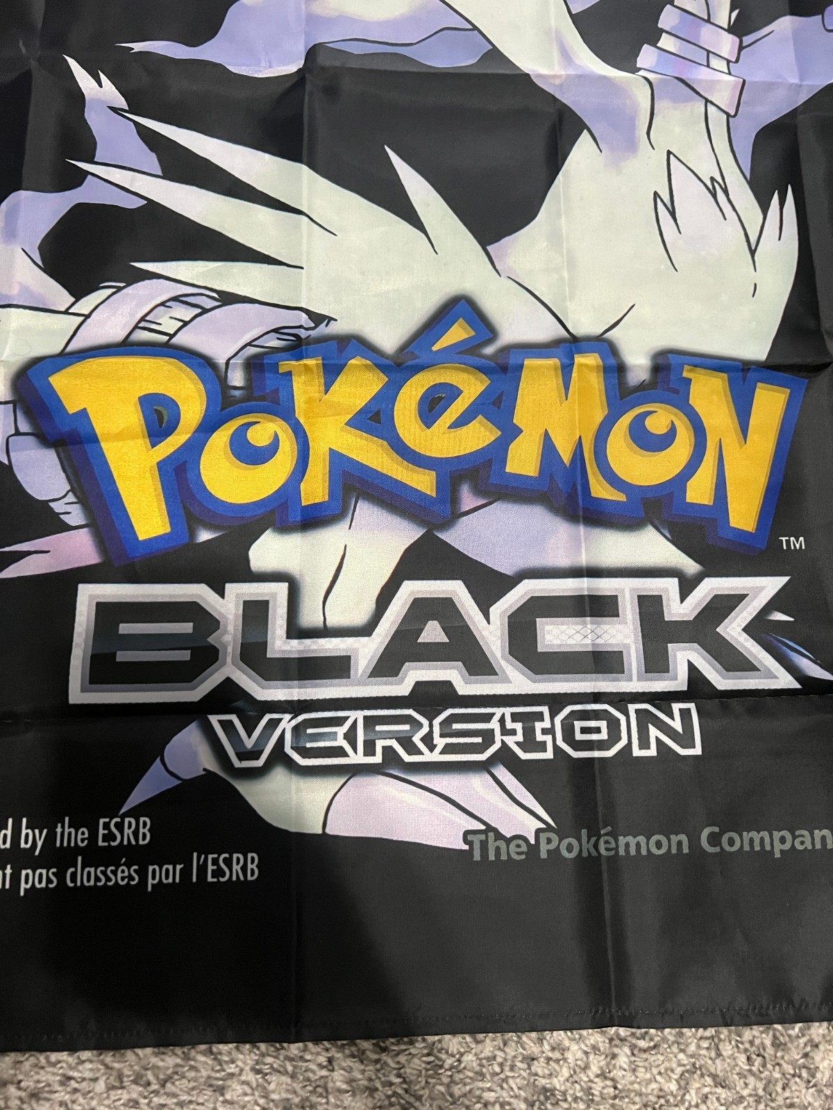 Pokemon Black Version DS Custom Wall Flag Banner Tapestry 3 x 3 Ft