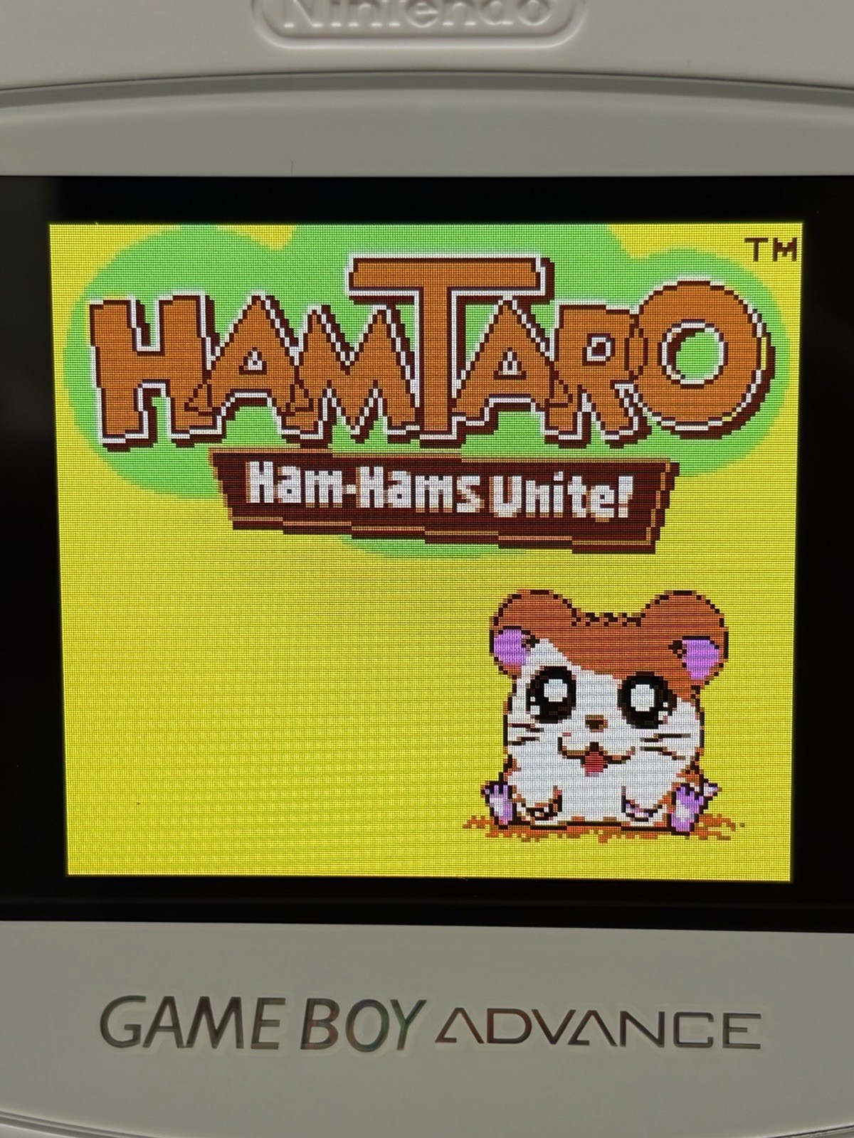 Hamtaro: Ham-Hams Unite (Nintendo Game Boy Color-GBC-TESTED-NEW BATTERY-NICE!!