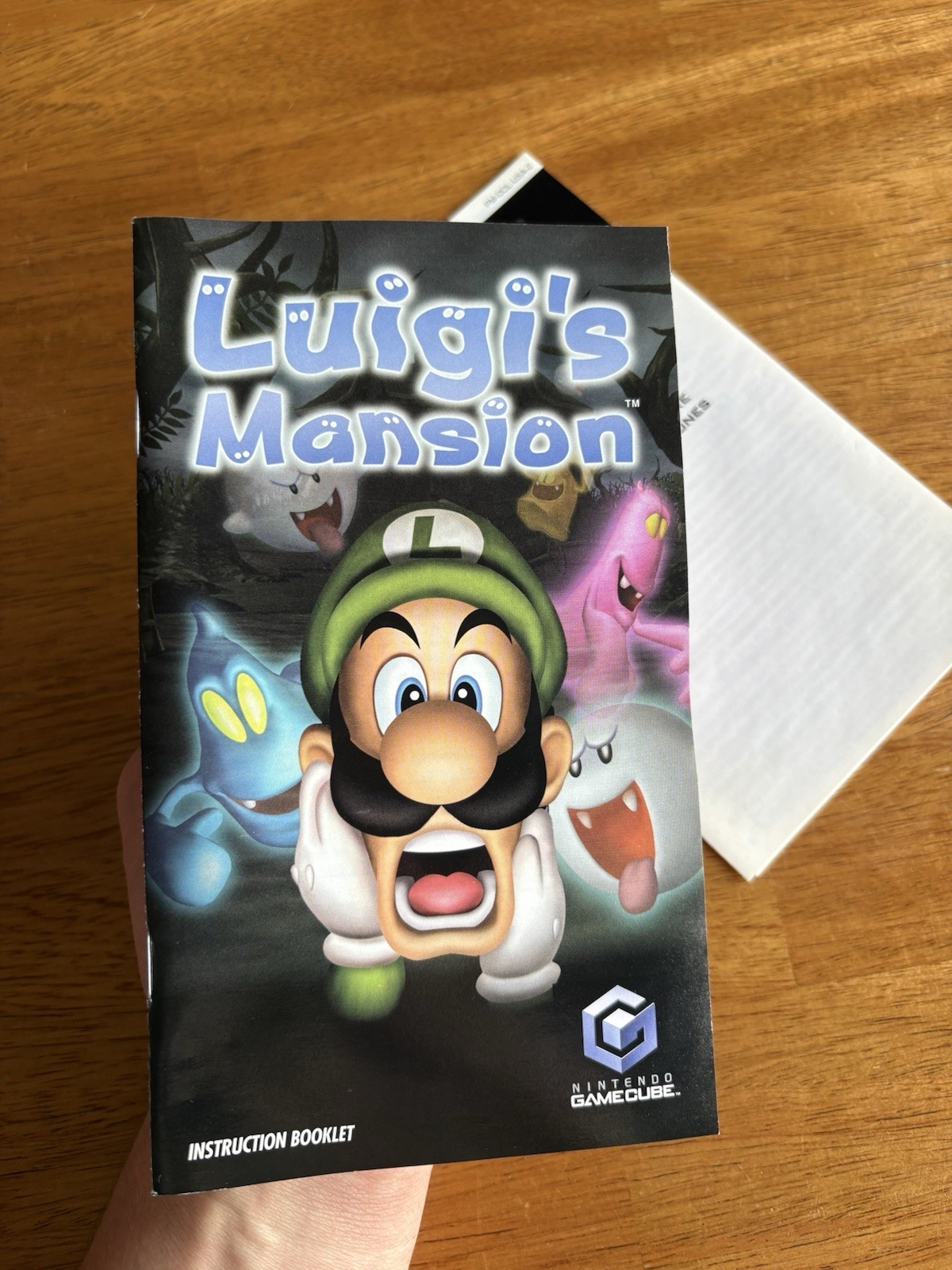 Luigi’s Mansion Manual Only Nintendo GameCube (NO GAME , NO CASE) [ Near Mint ]