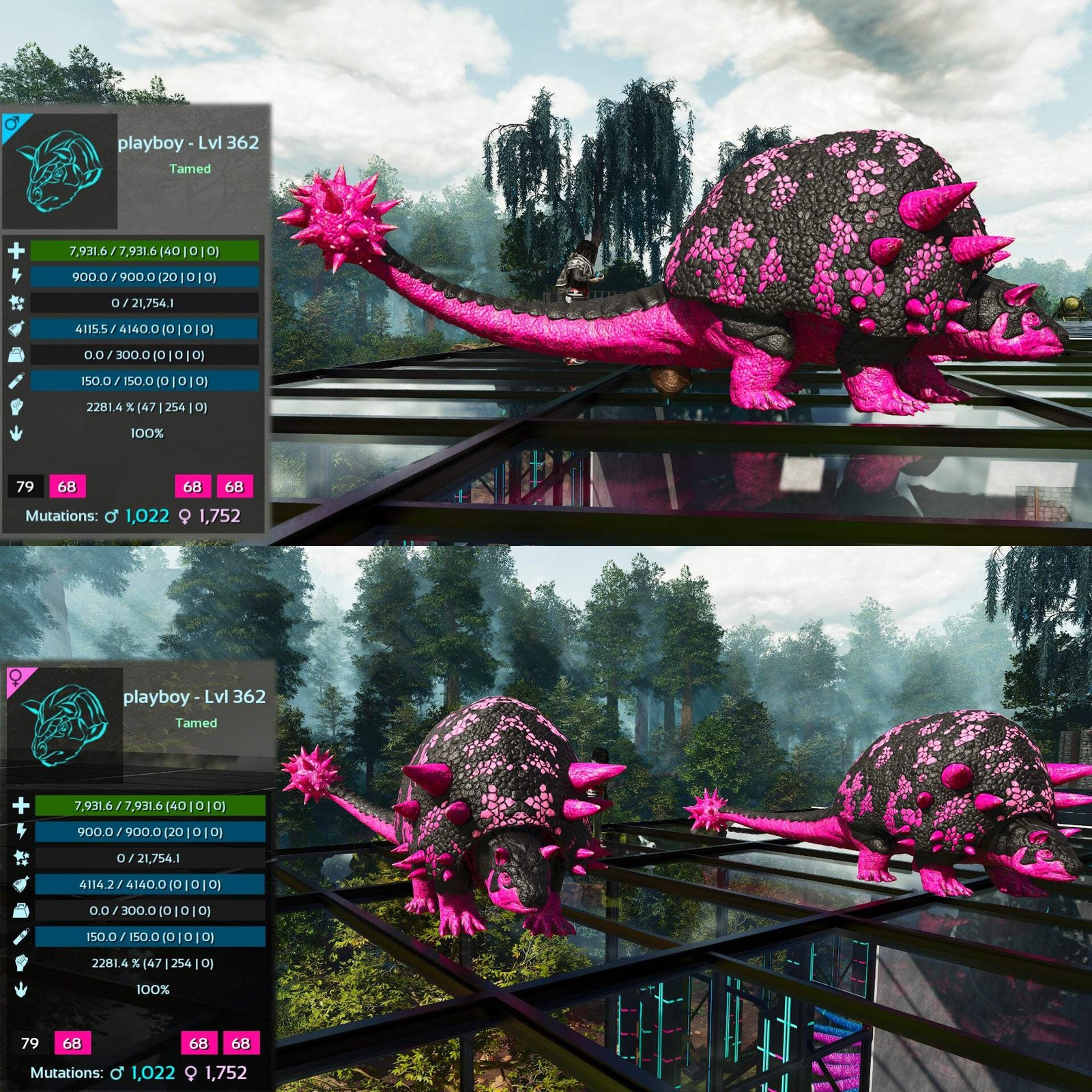 ASA PVE 🦖ARK Survival Ascended Aberrant Doedicurus Doedi 2281.4%Melee Top