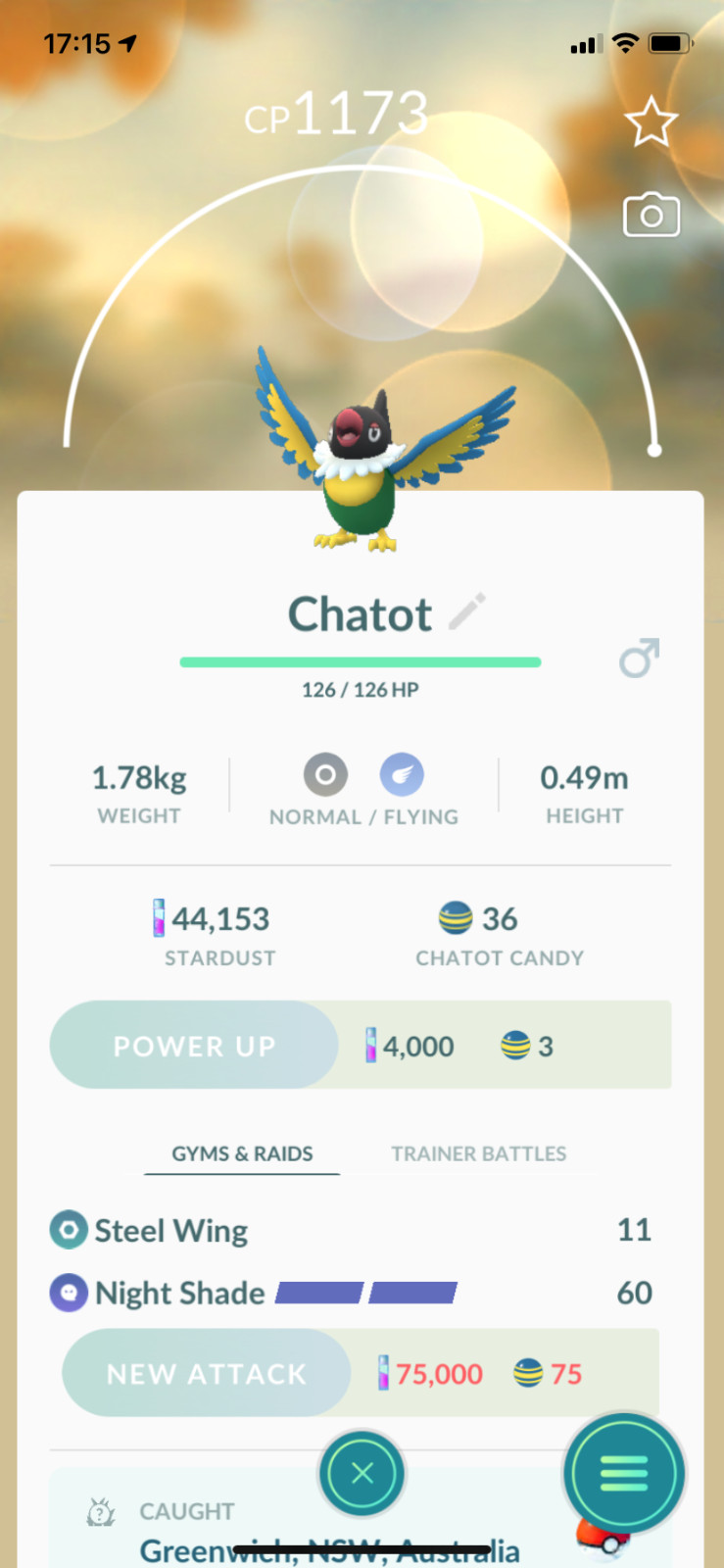 Pokemon TRADE – Chatot !! Regional Pokemon ! Safe, Cheap & Fast !