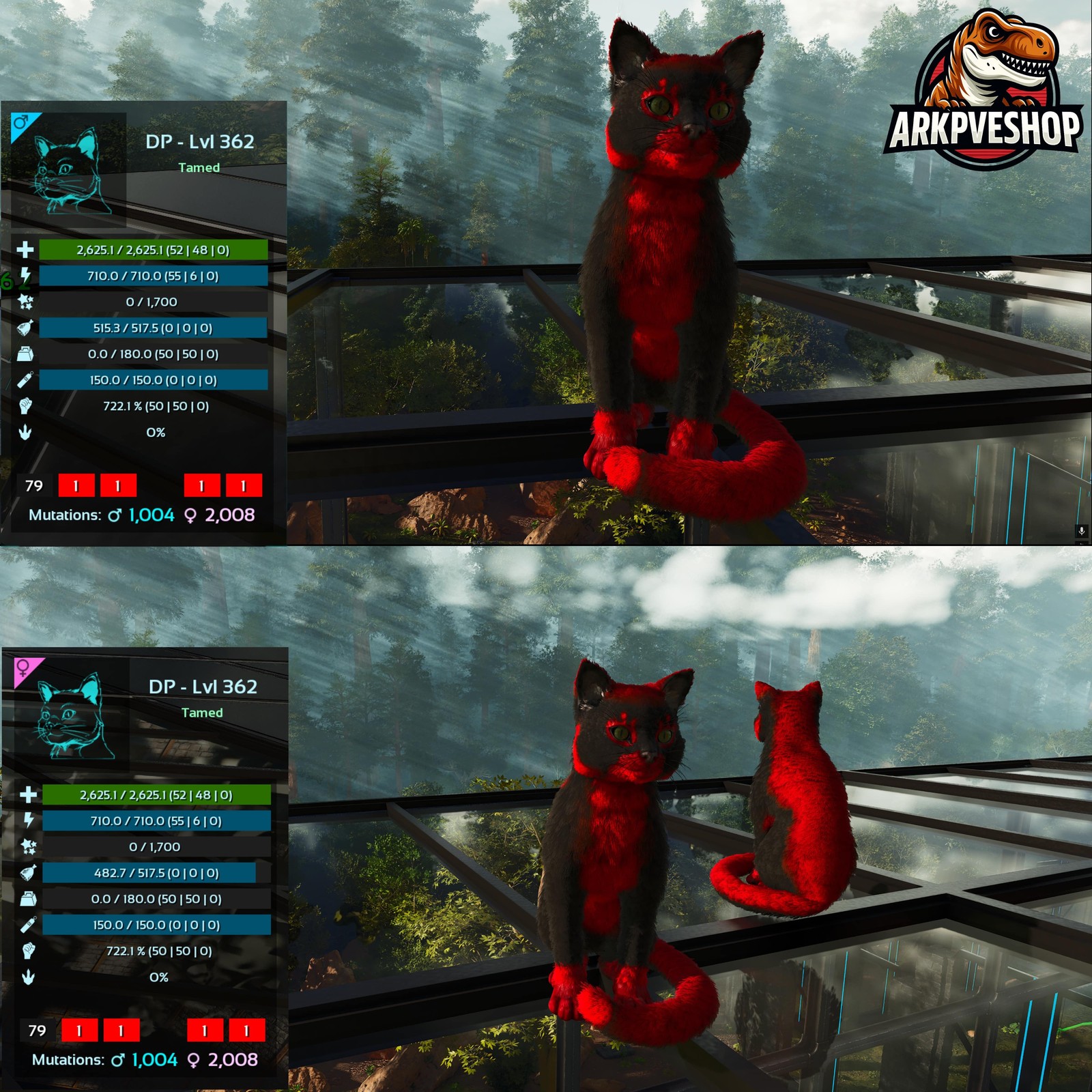 ASA PVE 🦖ARK Survival Ascended Cat / Cats Event Colours Top Stats 722Melee