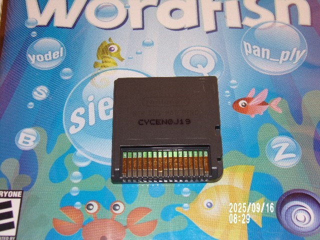 Wordfish (Nintendo DS, 2008)