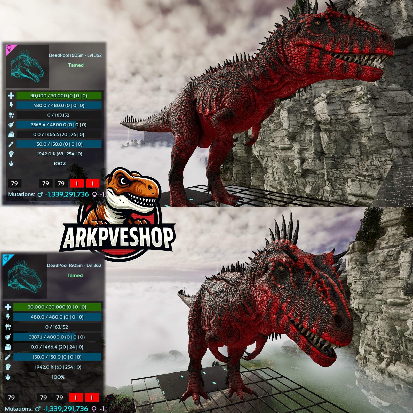 ASA PVE 🦖ARK Survival Ascended Carcharodontosaurus Carcha 1942%melee Imprinted