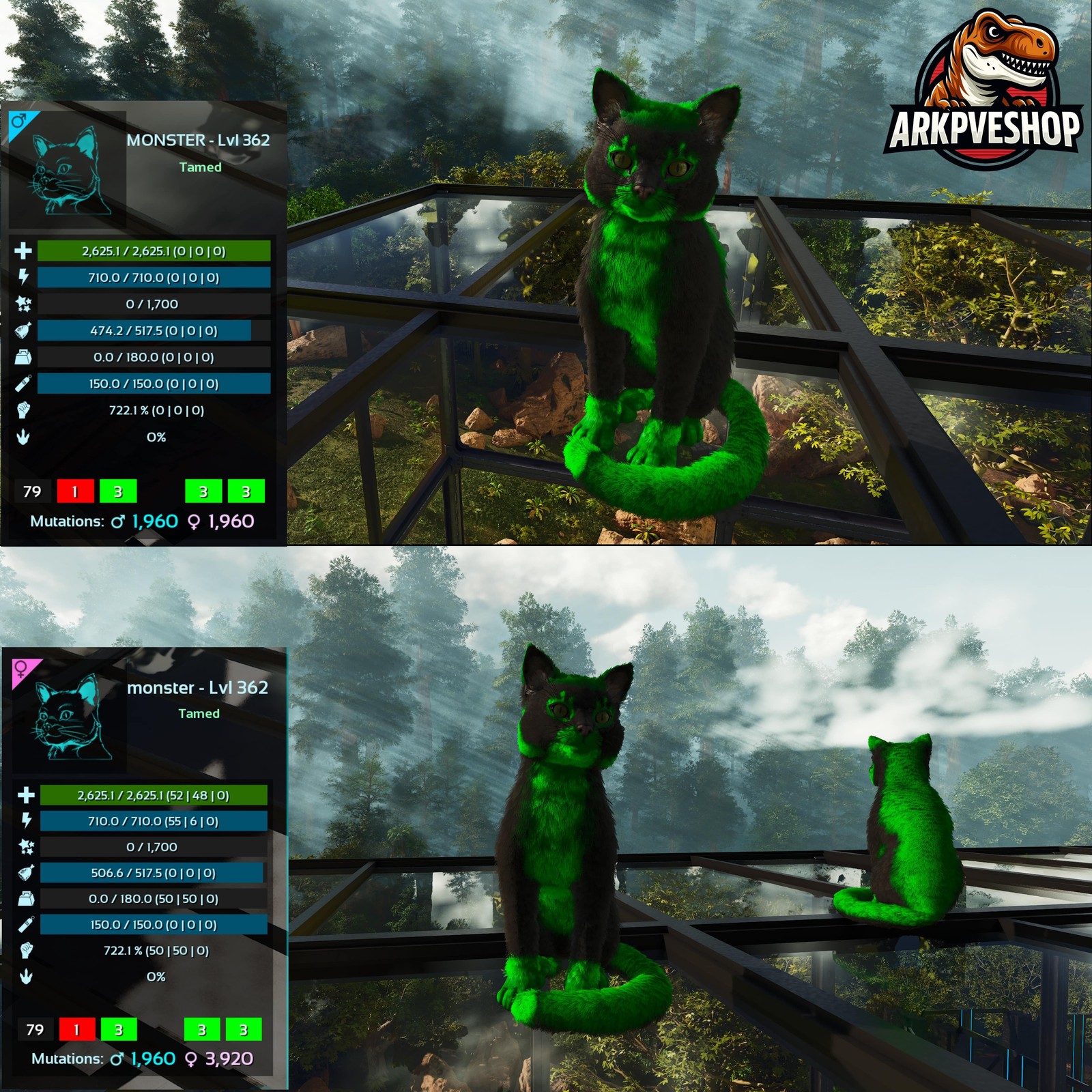 ASA PVE 🦖ARK Survival Ascended Cat / Cats Event Colours Top Stats 722Melee