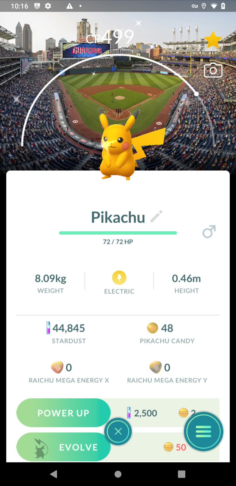 ✨Pokémon Shiny Pikachu Progressive Field | P—T—C