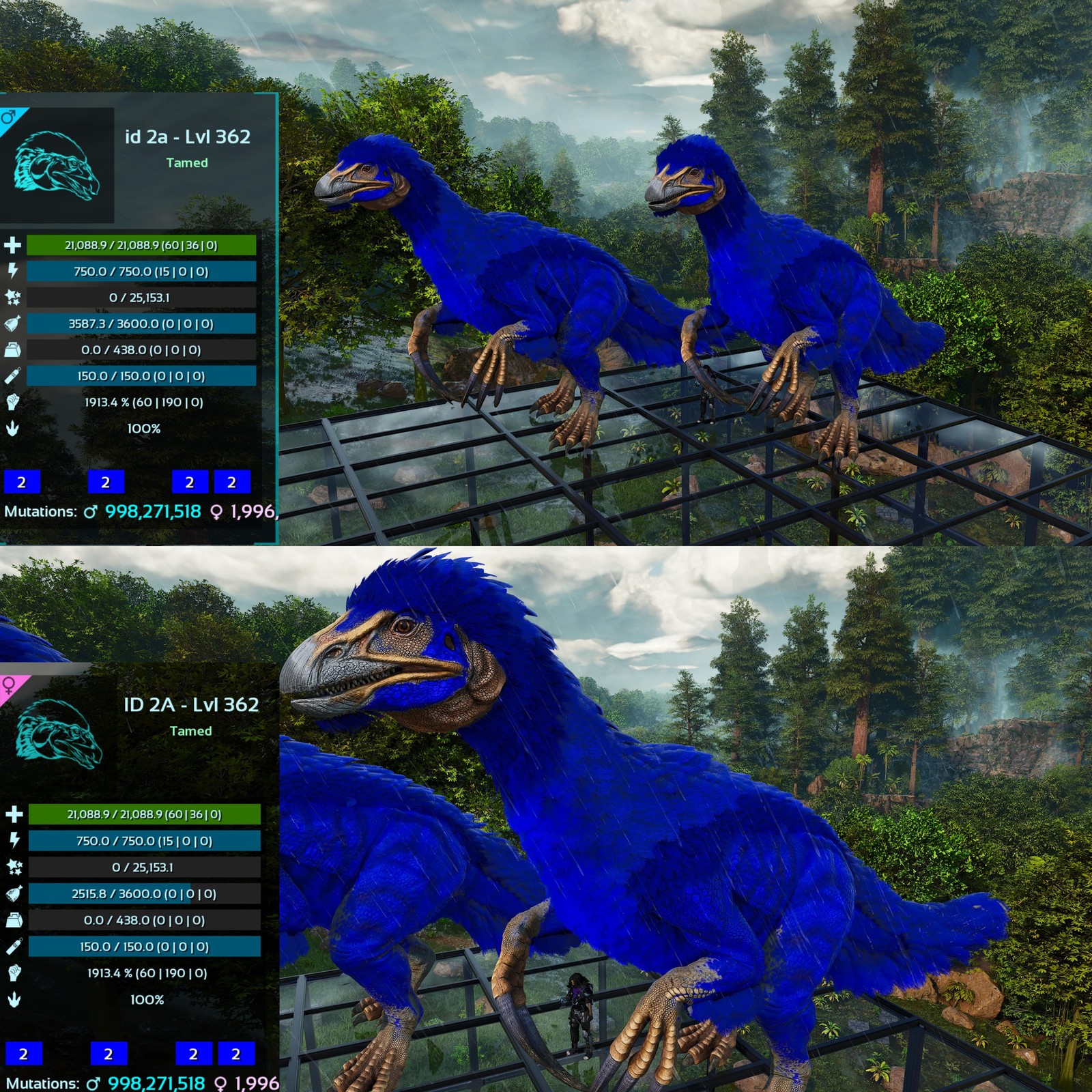 ASA PVE 🦖ARK Survival Ascended Therizinosaurus / Theri 1913Melee Imprinted