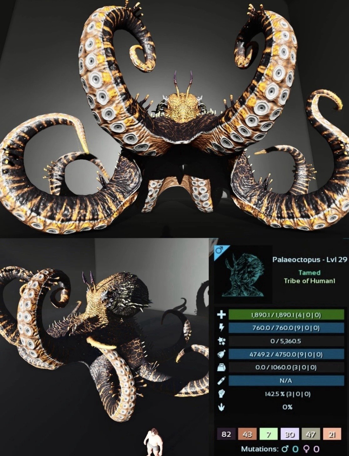 Ark Survival Ascended Pve Official PC/XBOX/PS5 New Palaeoctopus Male Low Level