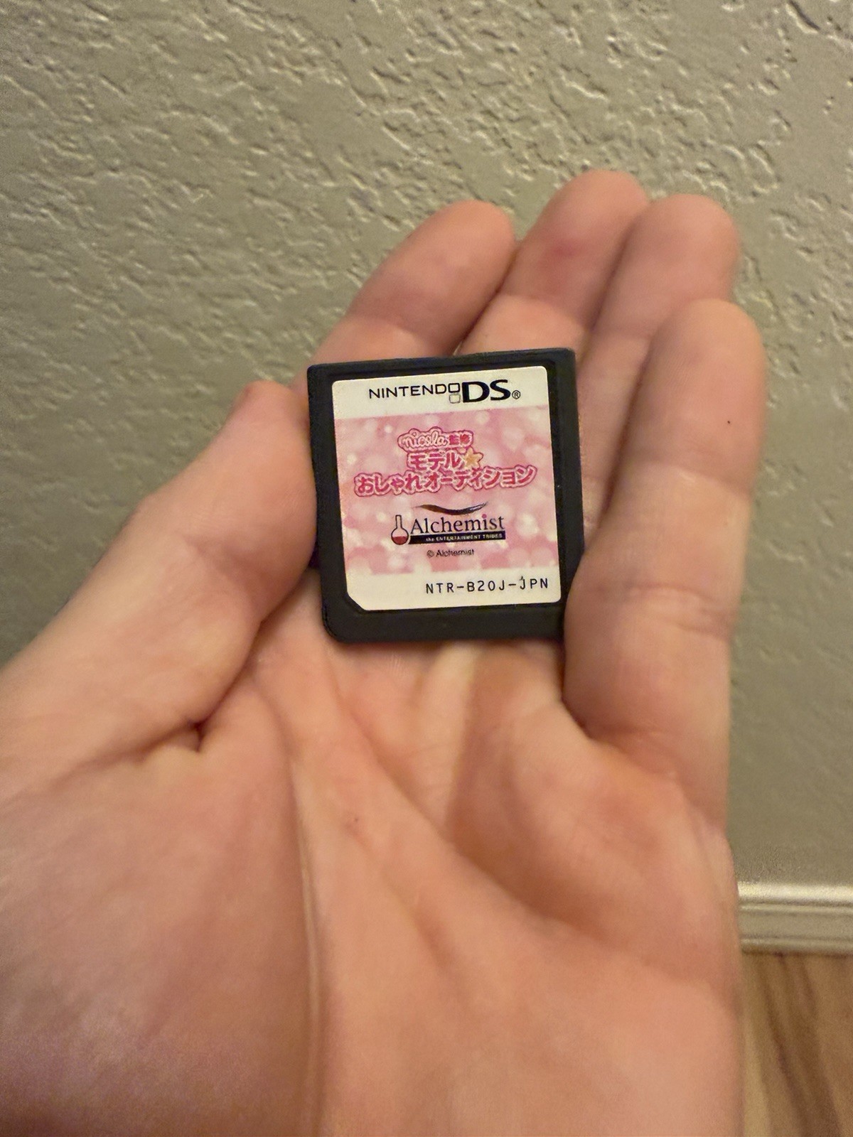 Nicola Kanshu Model Oshare Audition Nintendo DS NDS NTSC-J CIB