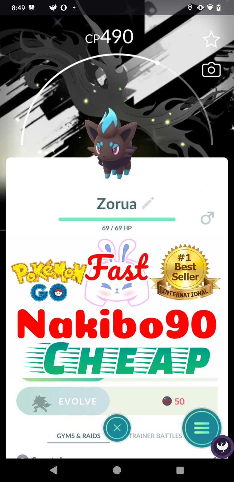 Pokémon Go – Shiny Zorua Special Background GOTour Unova 2025 – Trade – P’TC