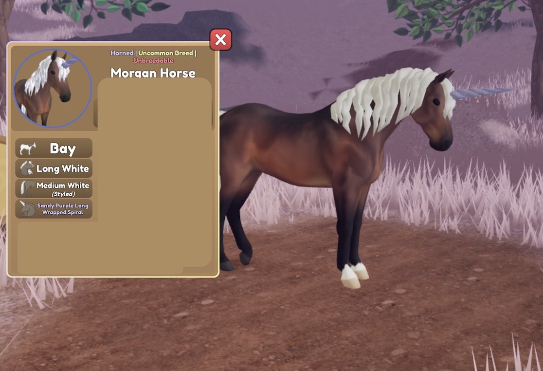 Wild Horse Islands 🌸 New Sandy purple Horn Morgan 🌸