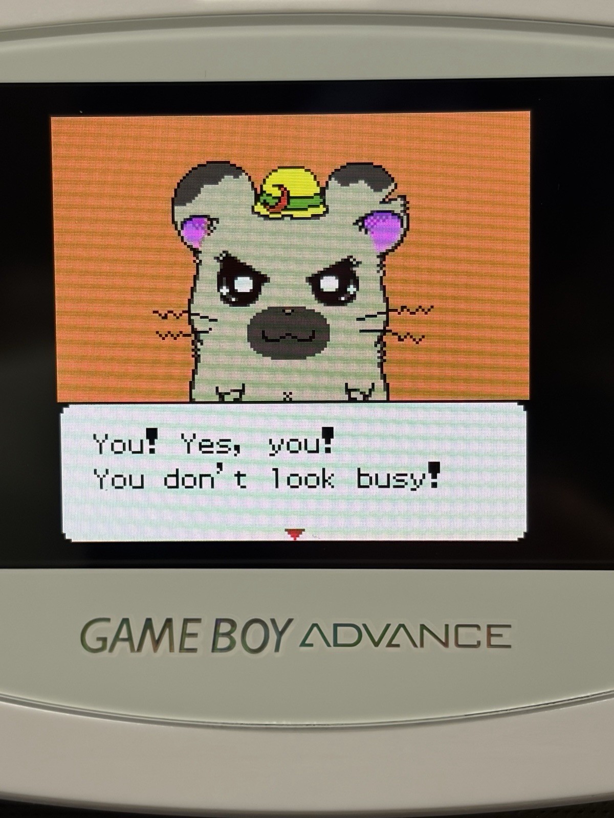 Hamtaro: Ham-Hams Unite (Nintendo Game Boy Color-GBC-TESTED-NEW BATTERY-NICE!!