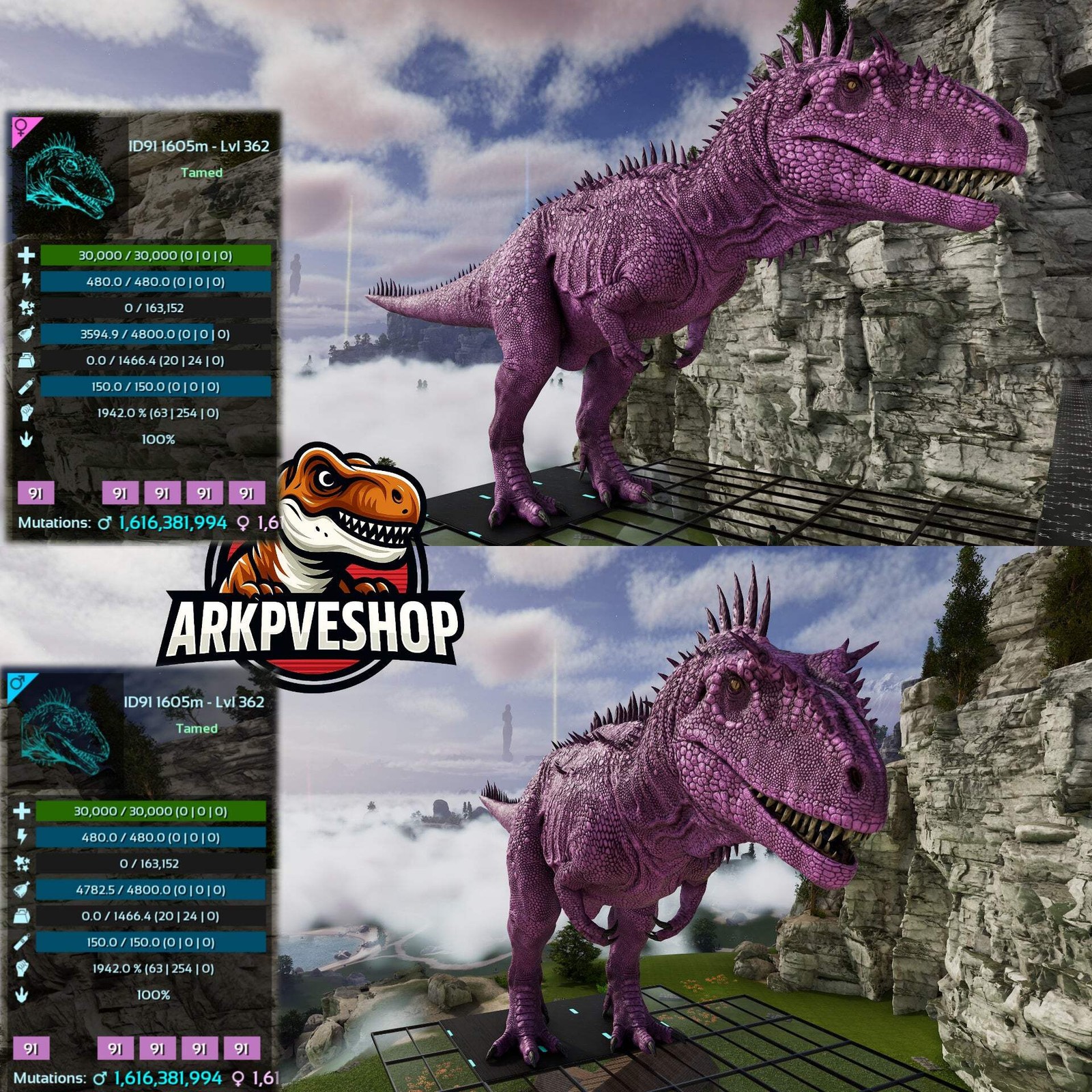 ASA PVE 🦖ARK Survival Ascended Carcharodontosaurus Carcha 1942%melee Imprinted