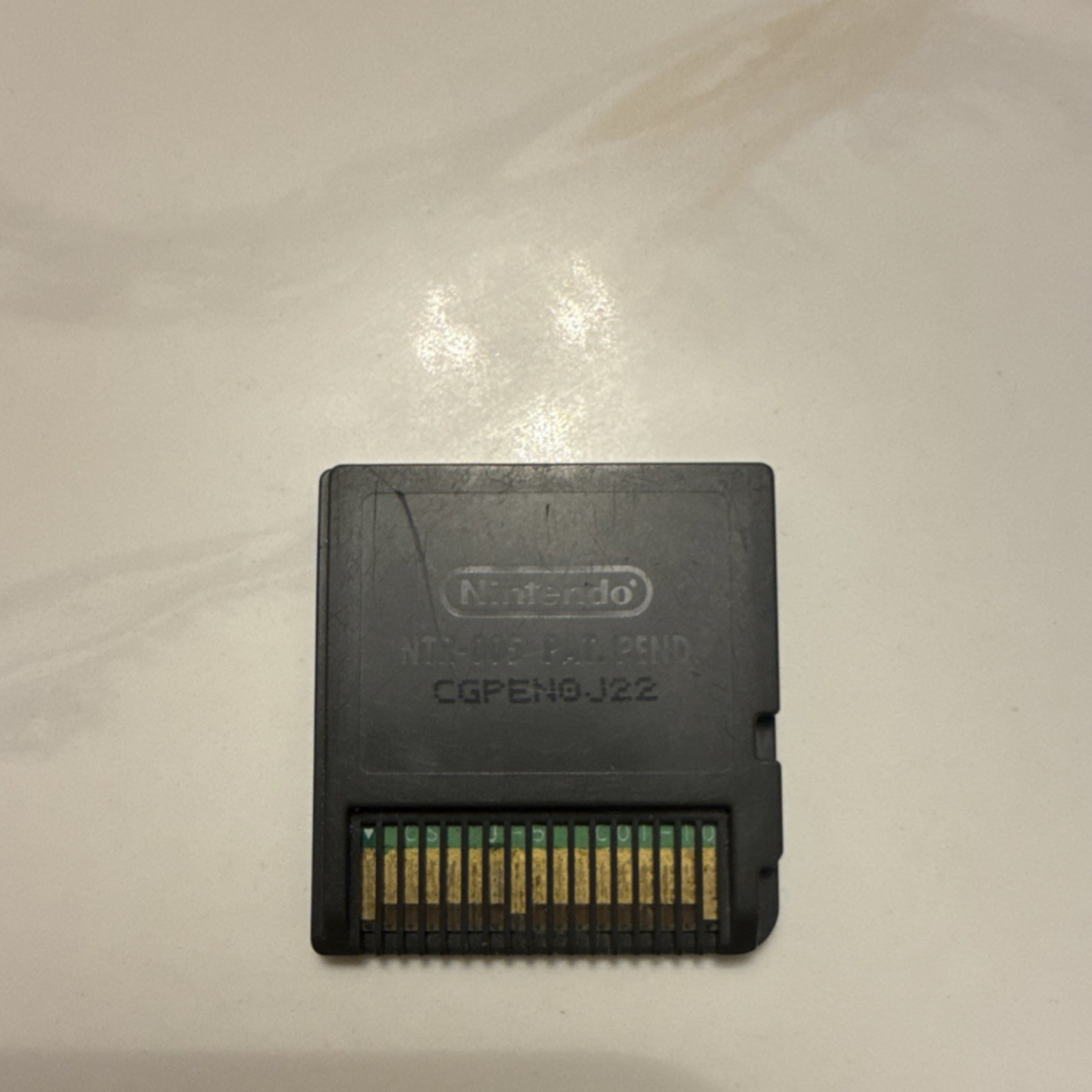 Goosebumps HorrorLand Nintendo DS Game Cartridge E10+ (Everyone 10+).