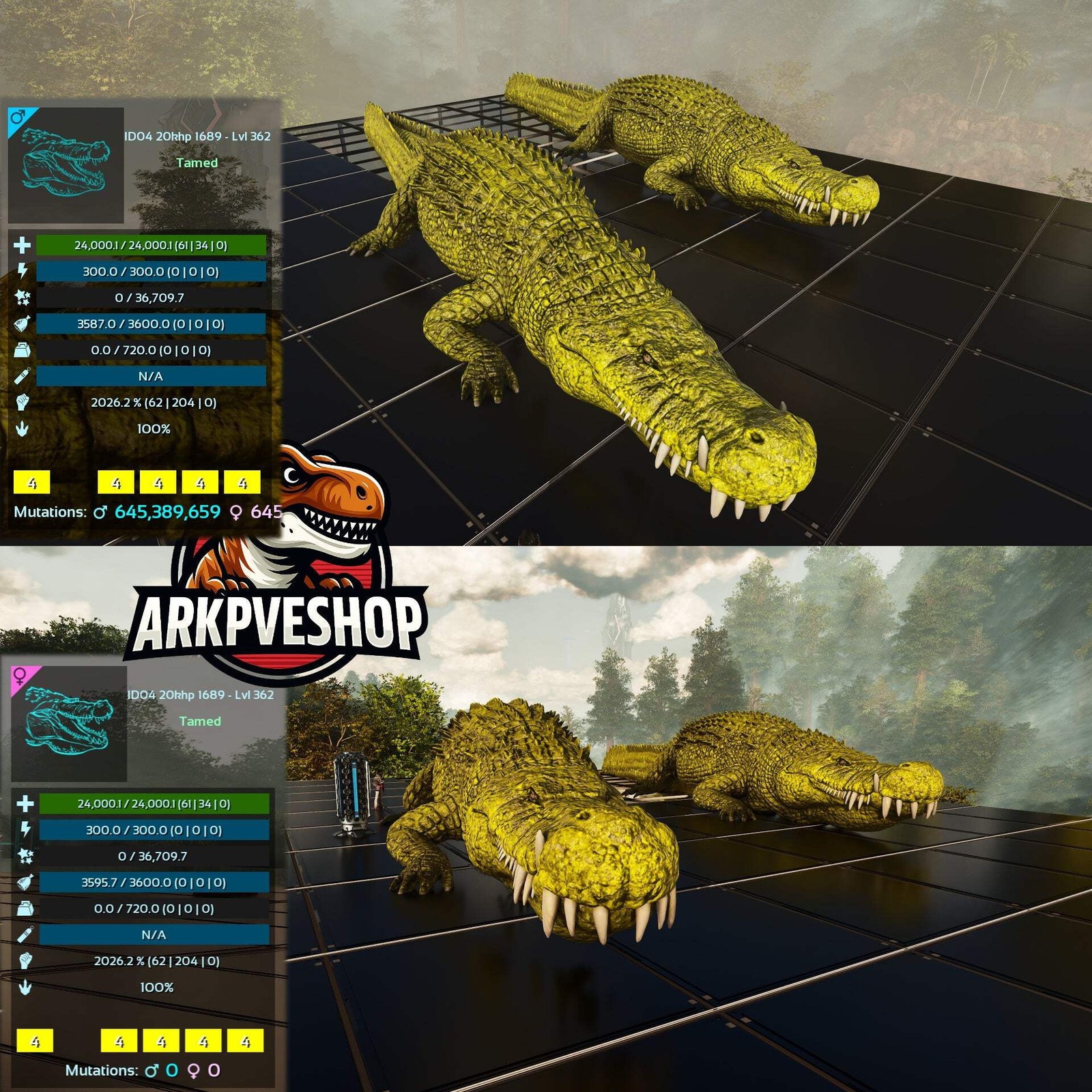 ASA PVE 🦖ARK Survival Ascended Deinosuchus Deino 2026m or 2428m Red Variant