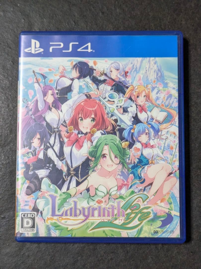 Labyrinth Life Sony PlayStation4 Operation Confirmed Japan ver Used w/ Case